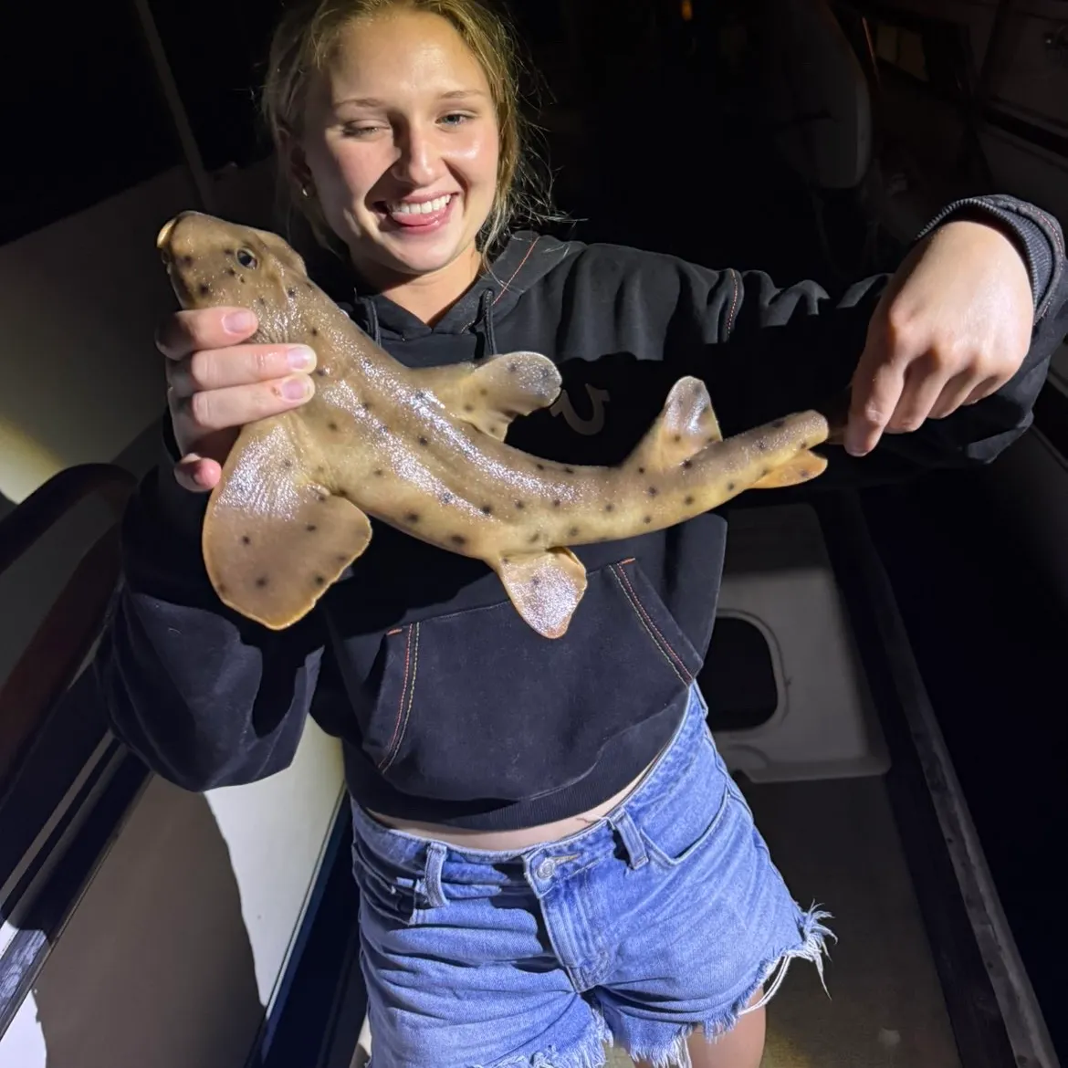 The most recent Horn shark catches on Fishbrain