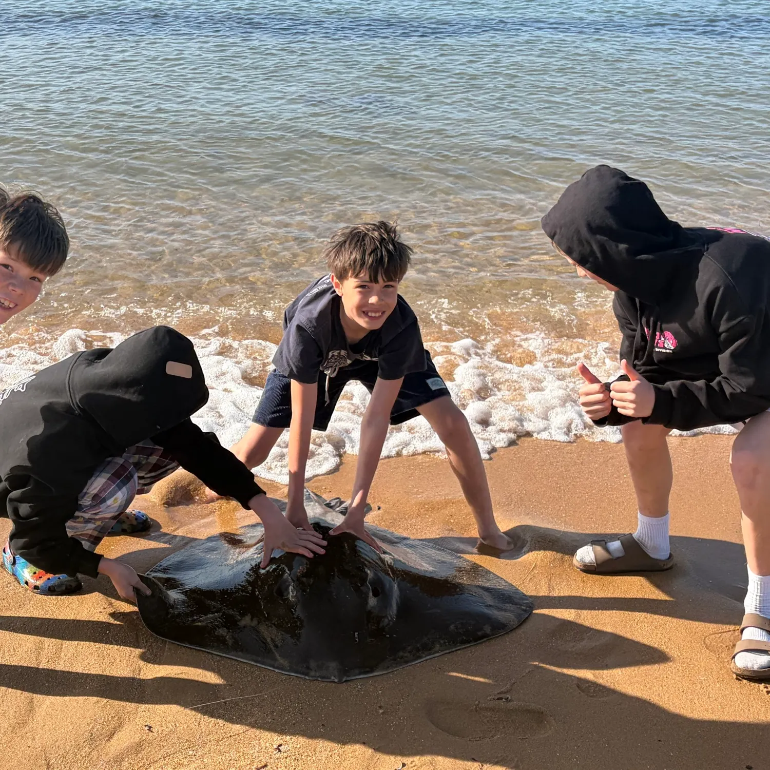 The most recent Short-tail stingray catches on Fishbrain