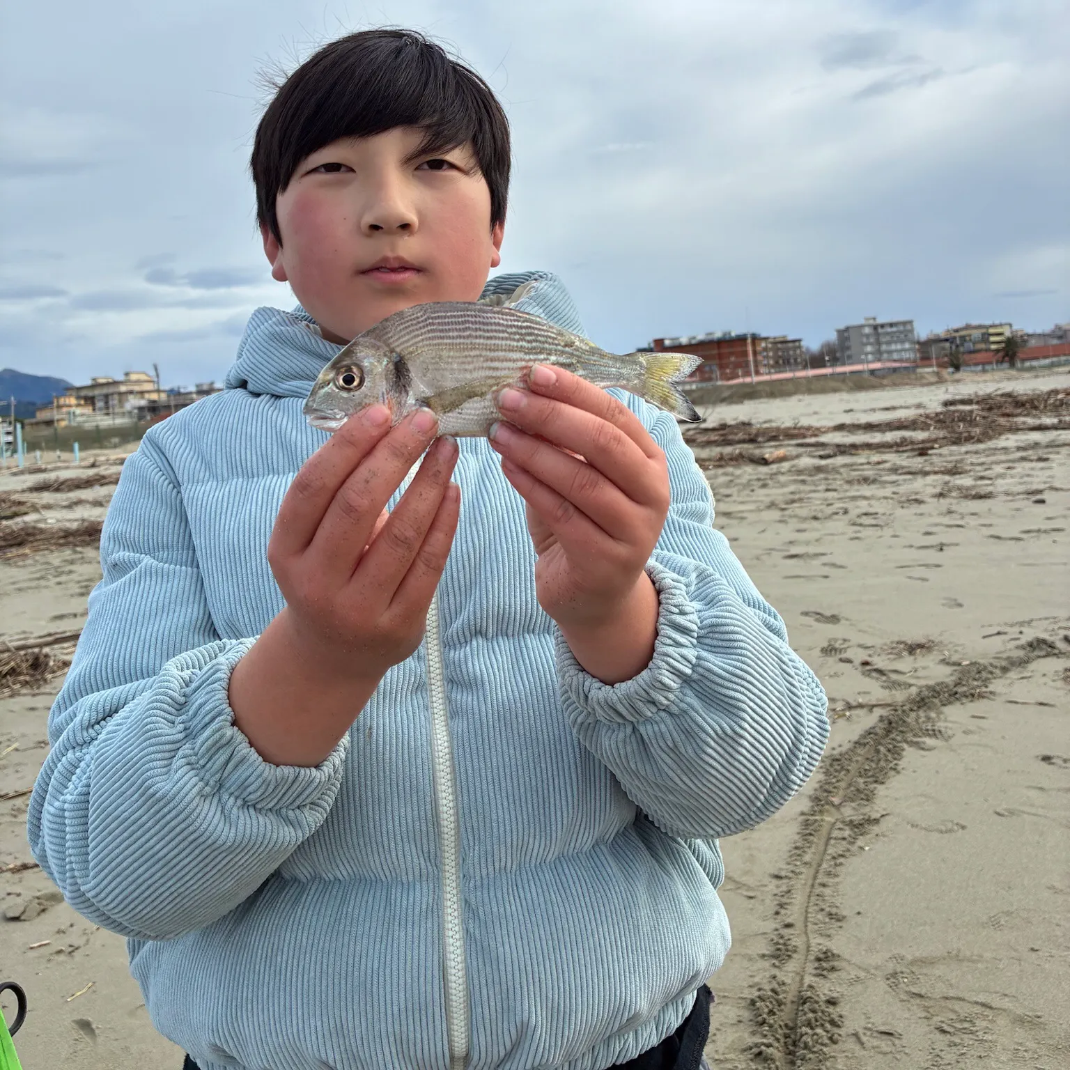 The most recent Black seabream catches on Fishbrain