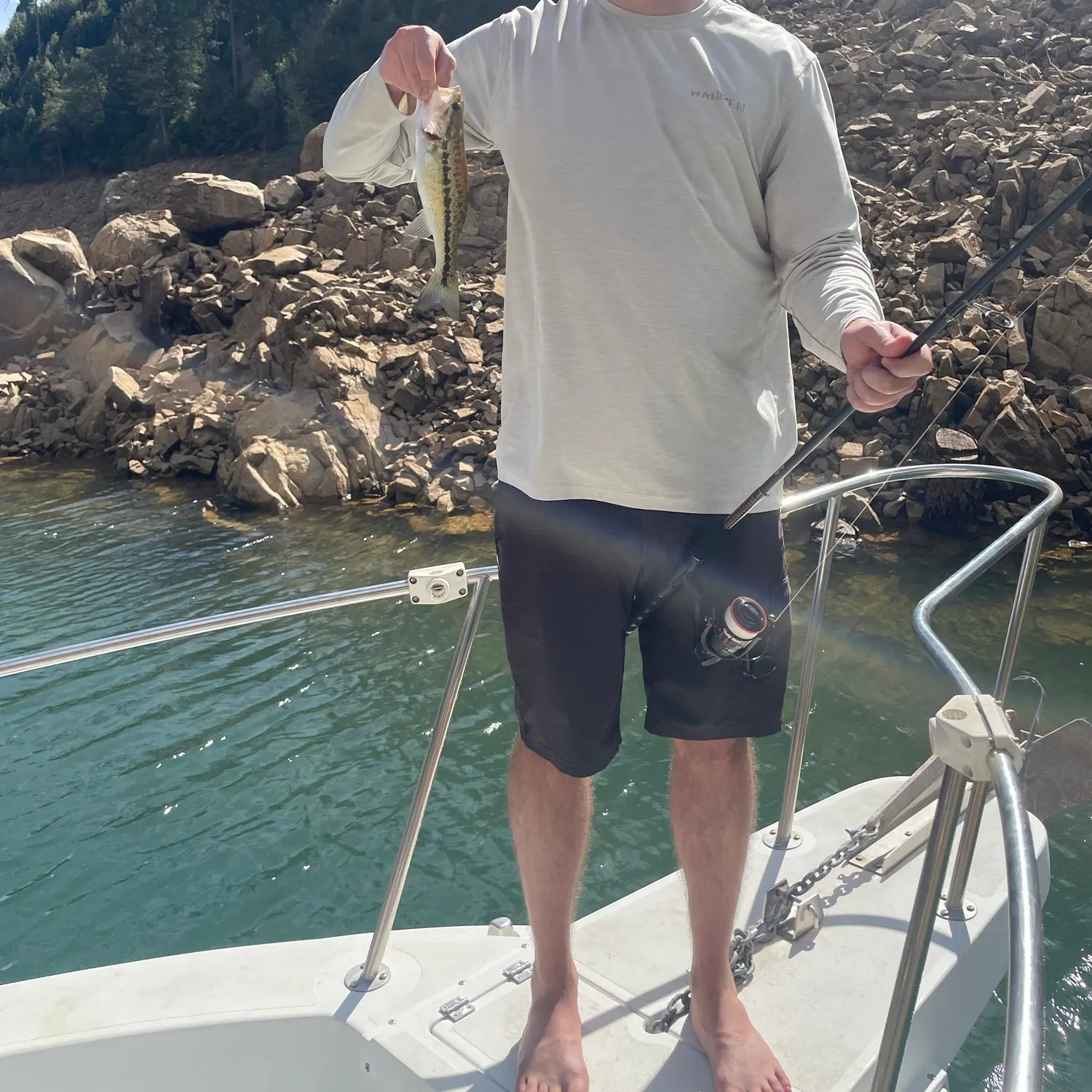 Spotted bass caught on Fishbrain