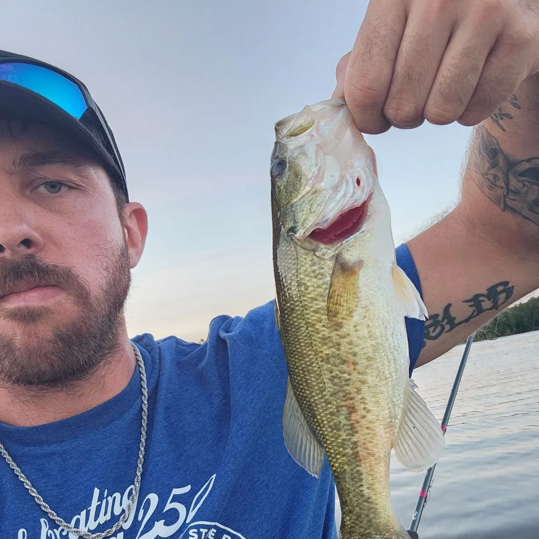 Largemouth bass caught on Fishbrain