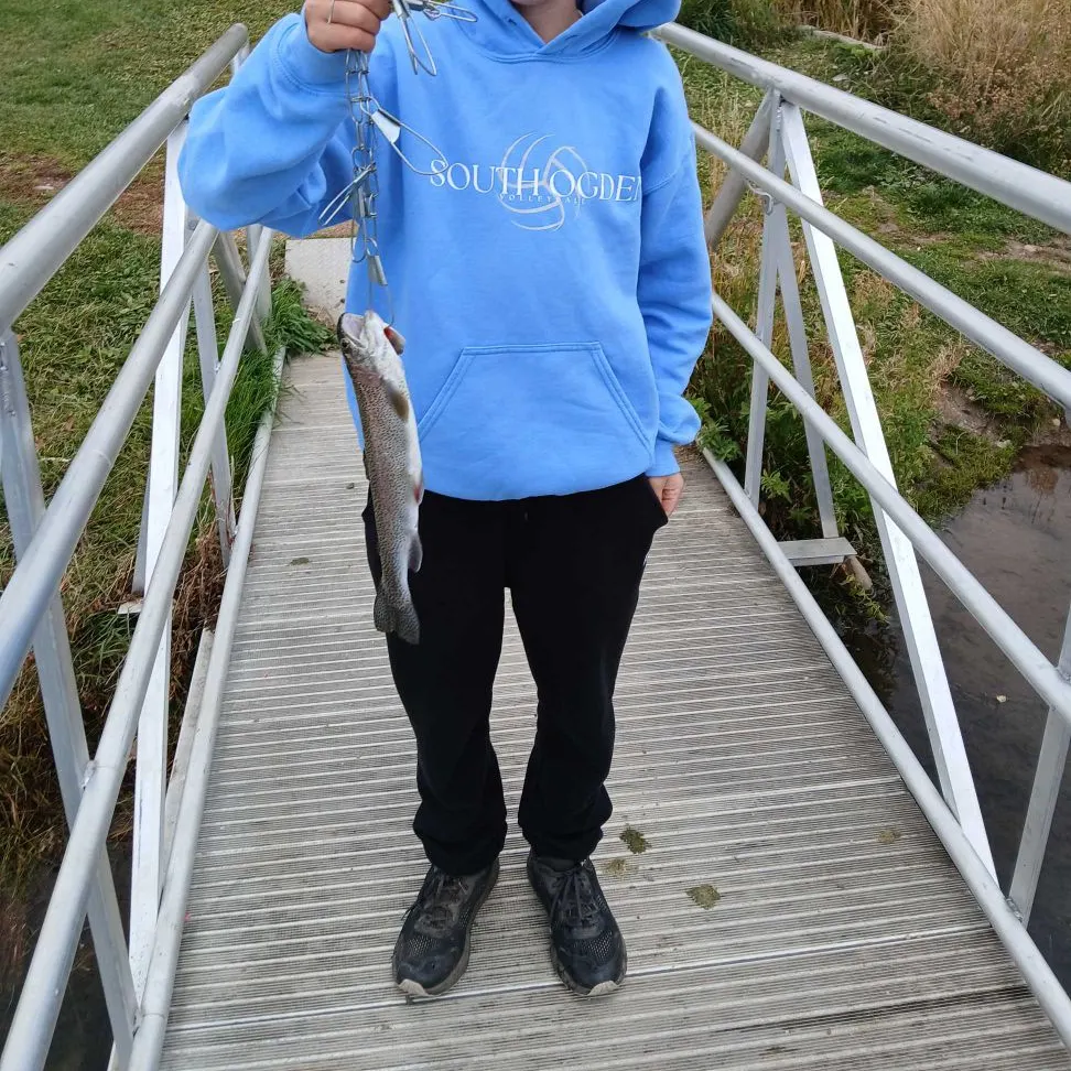 Rainbow trout caught on Fishbrain