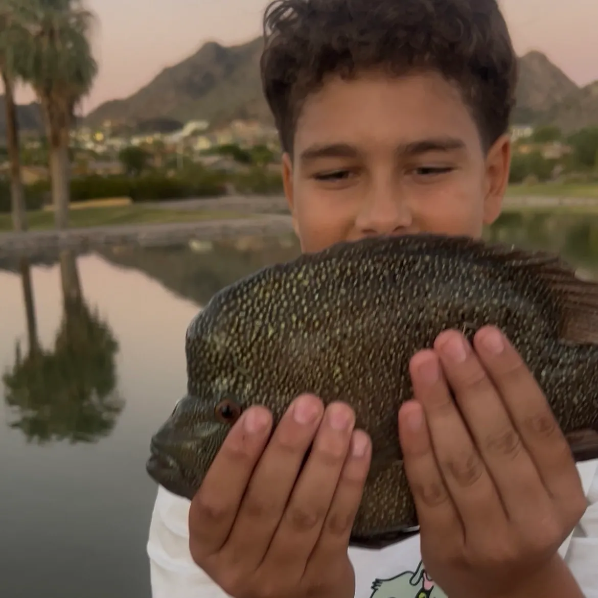 Rio Grande cichlid caught on Fishbrain