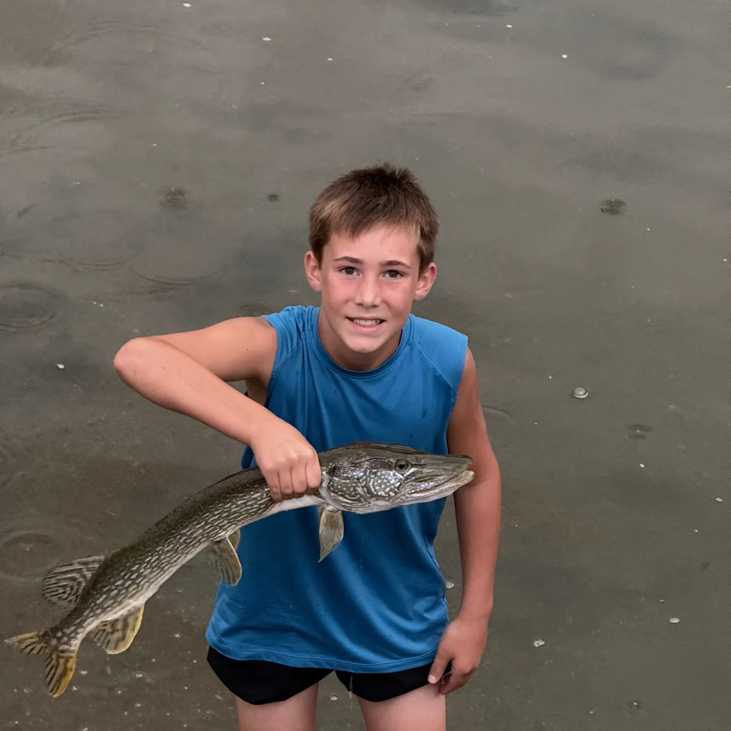Northern pike caught on Fishbrain