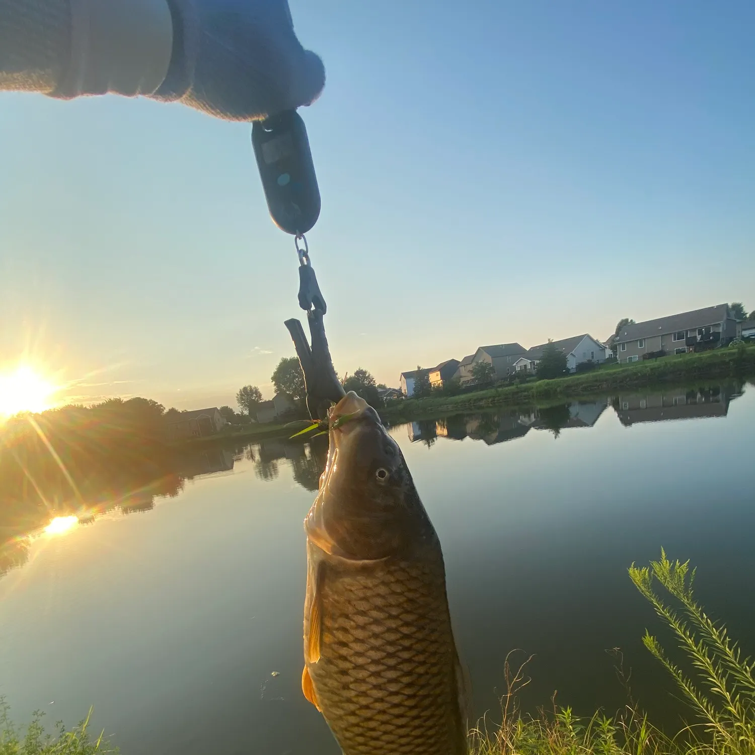 Fish caught on Fishbrain