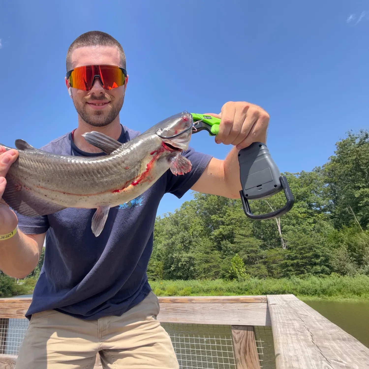 Channel catfish caught on Fishbrain