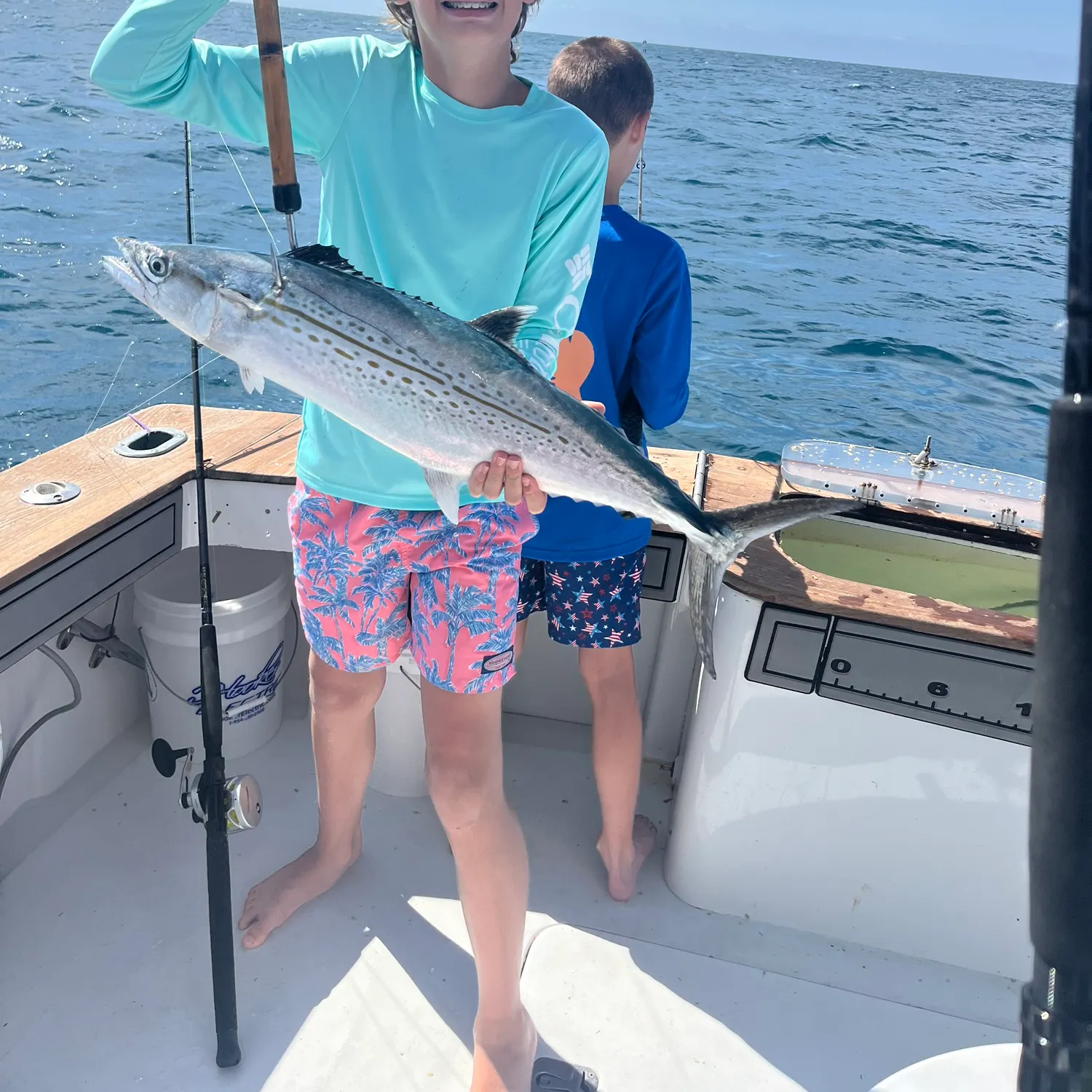 The most recent Cero mackerel catches on Fishbrain