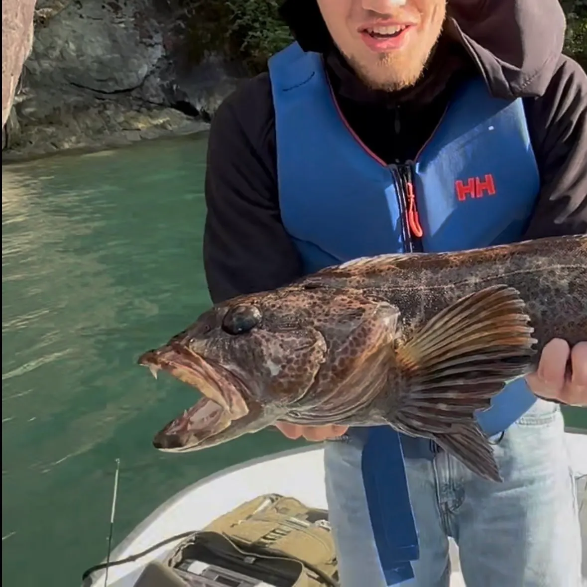 The most recent Lingcod catches on Fishbrain