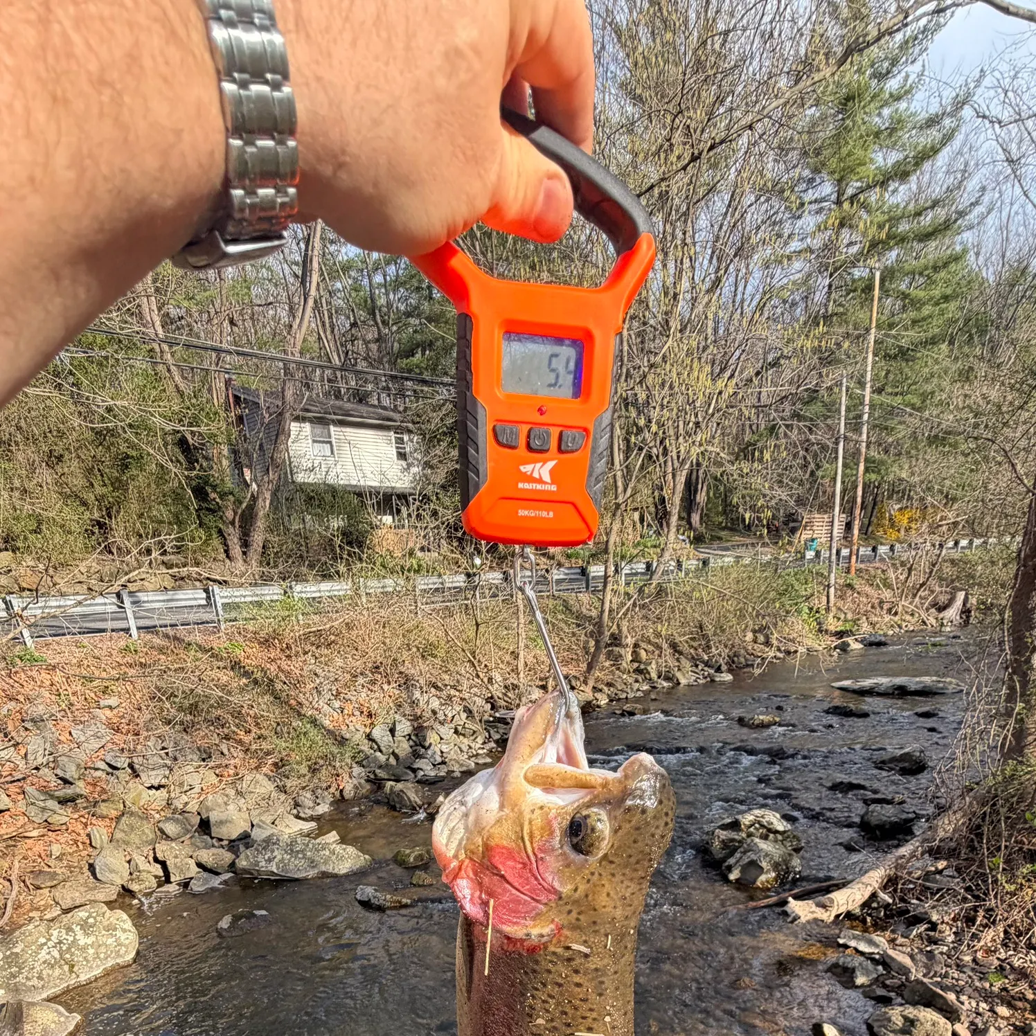 recently logged catches