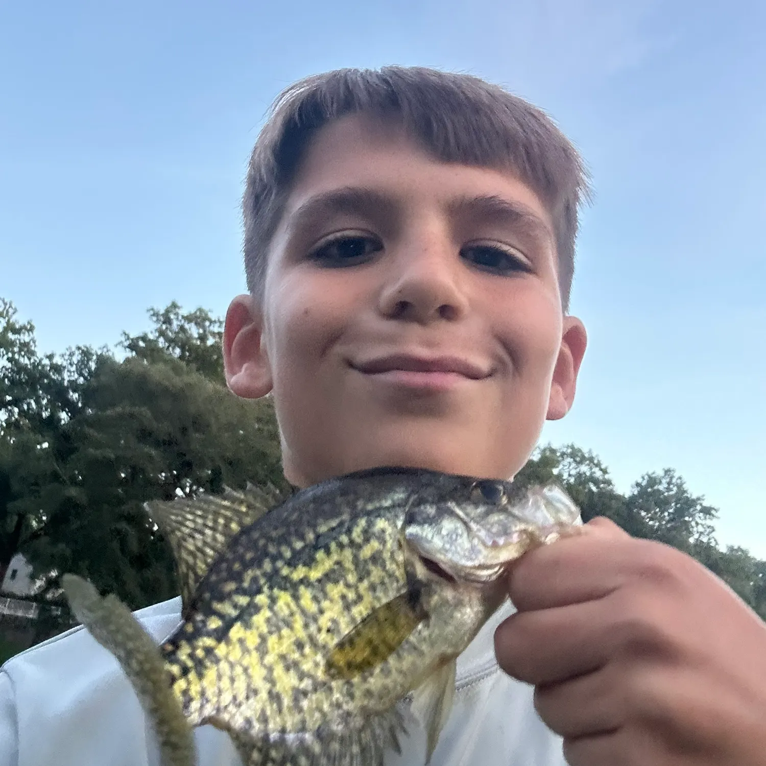 Black crappie caught on Fishbrain