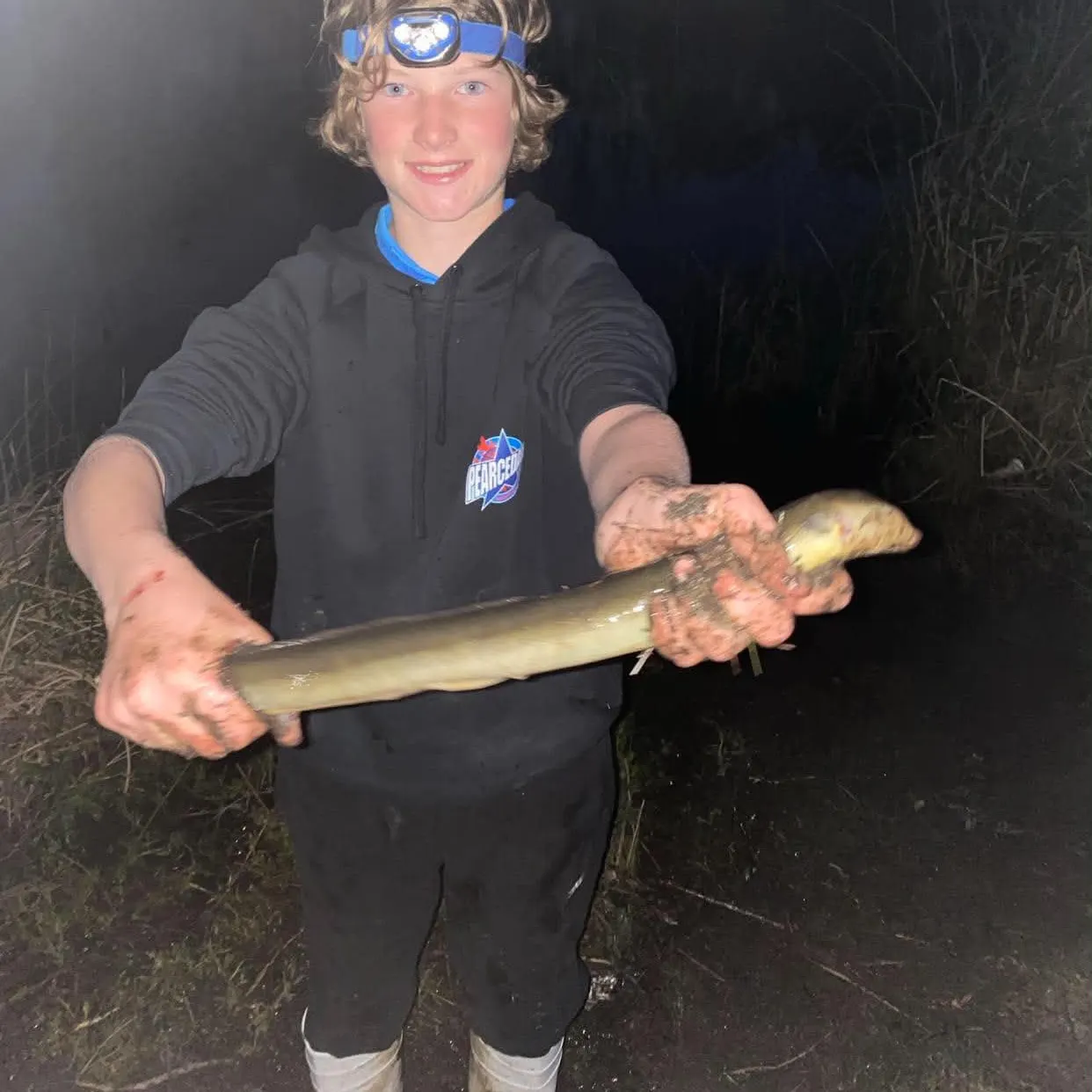 The most recent Shortfin eel catches on Fishbrain