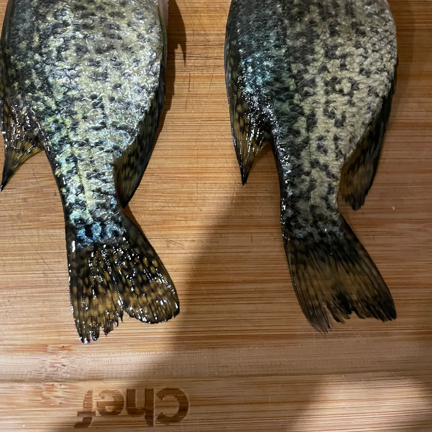 Black crappie caught on Fishbrain