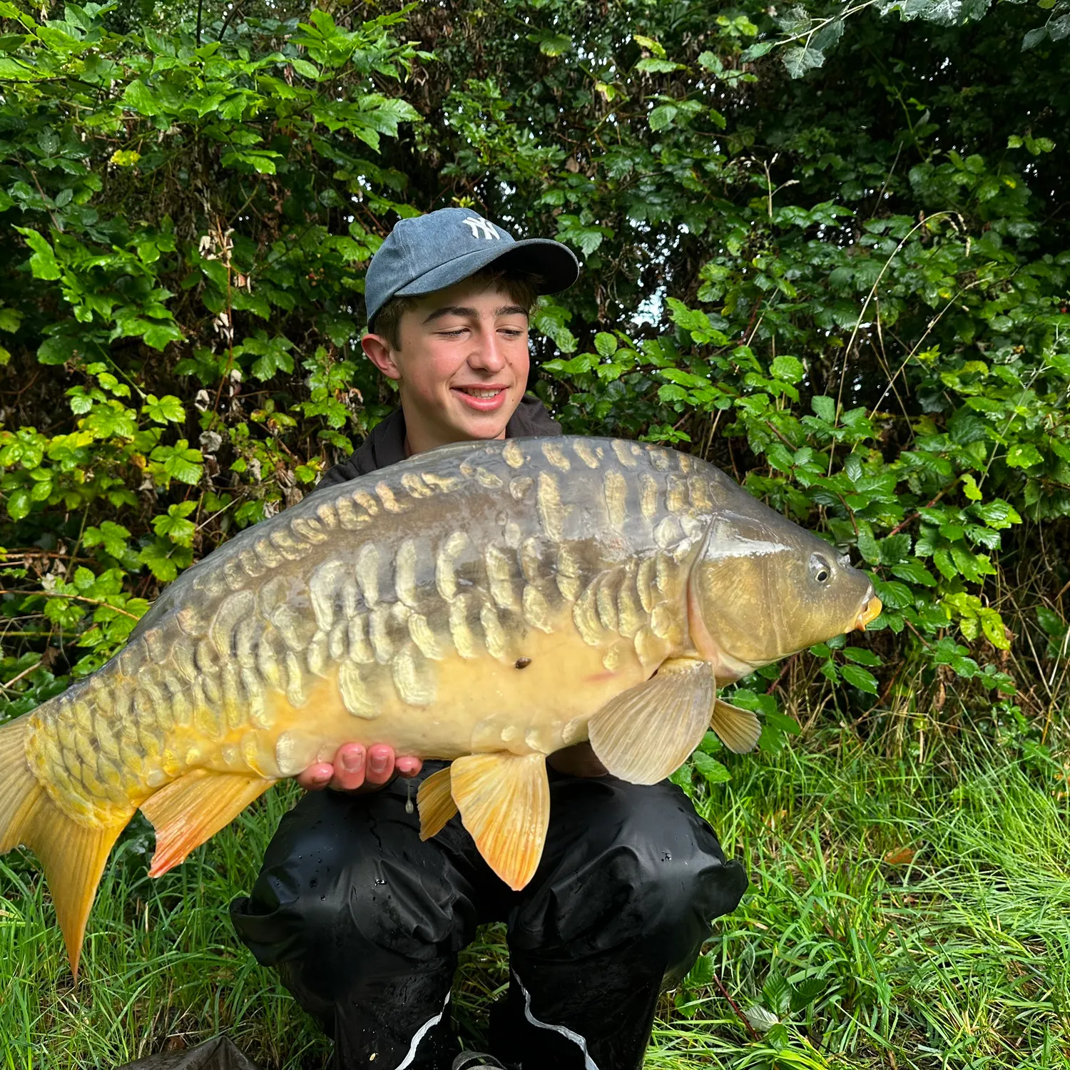 Mirror carp caught on Fishbrain