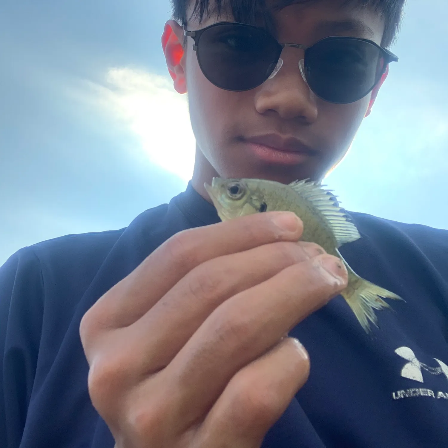 Bluegill caught on Fishbrain