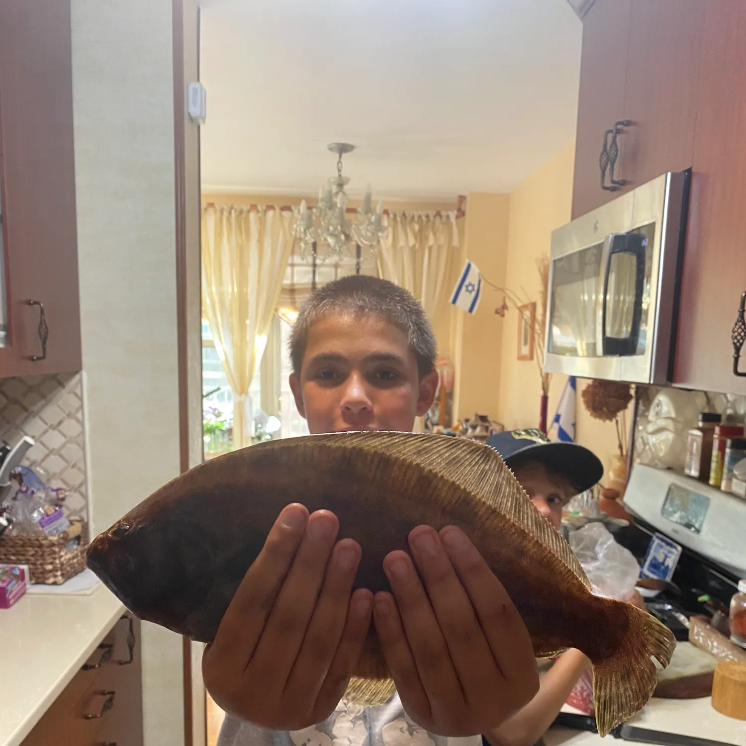 The most recent Windowpane flounder catches on Fishbrain