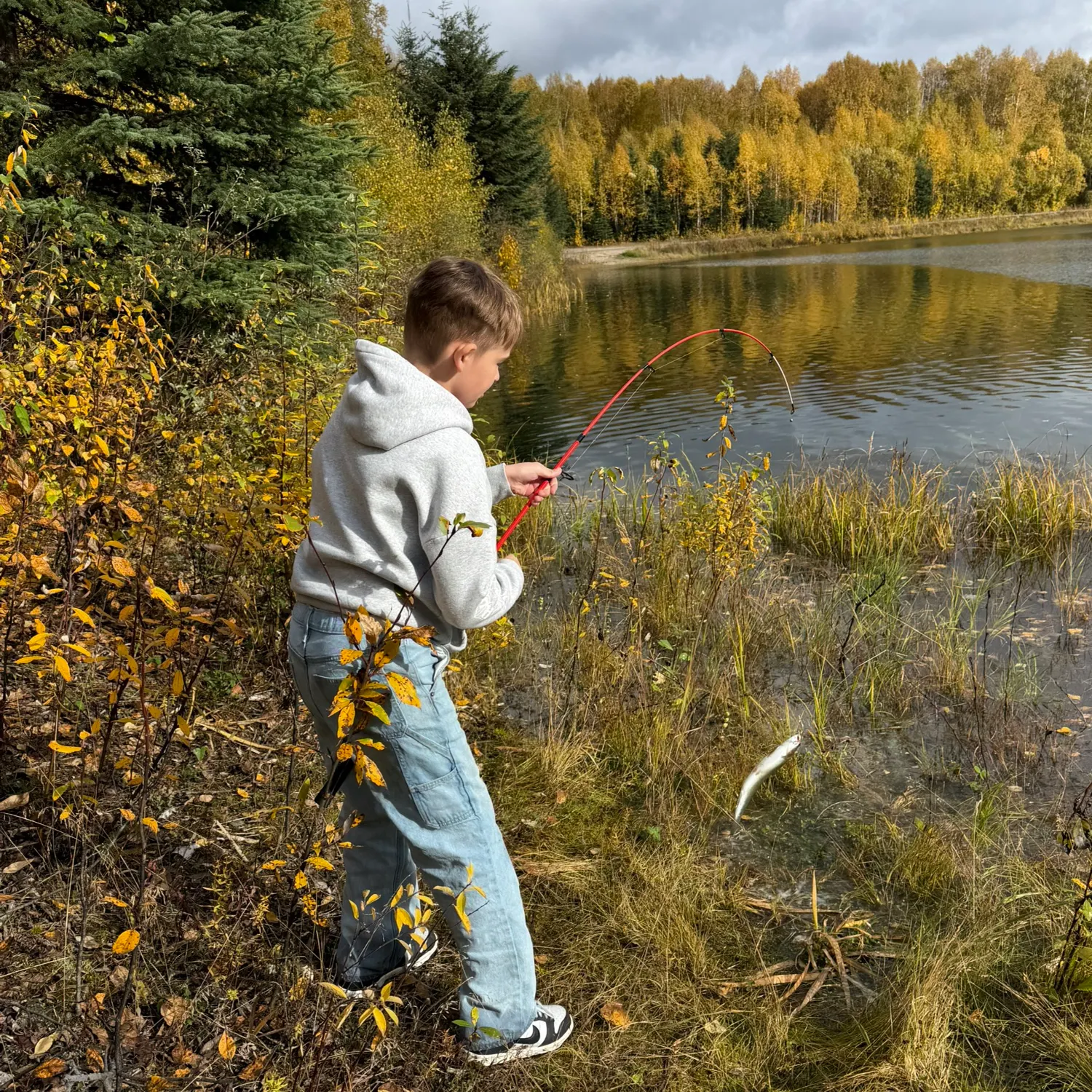 Rainbow trout caught on Fishbrain