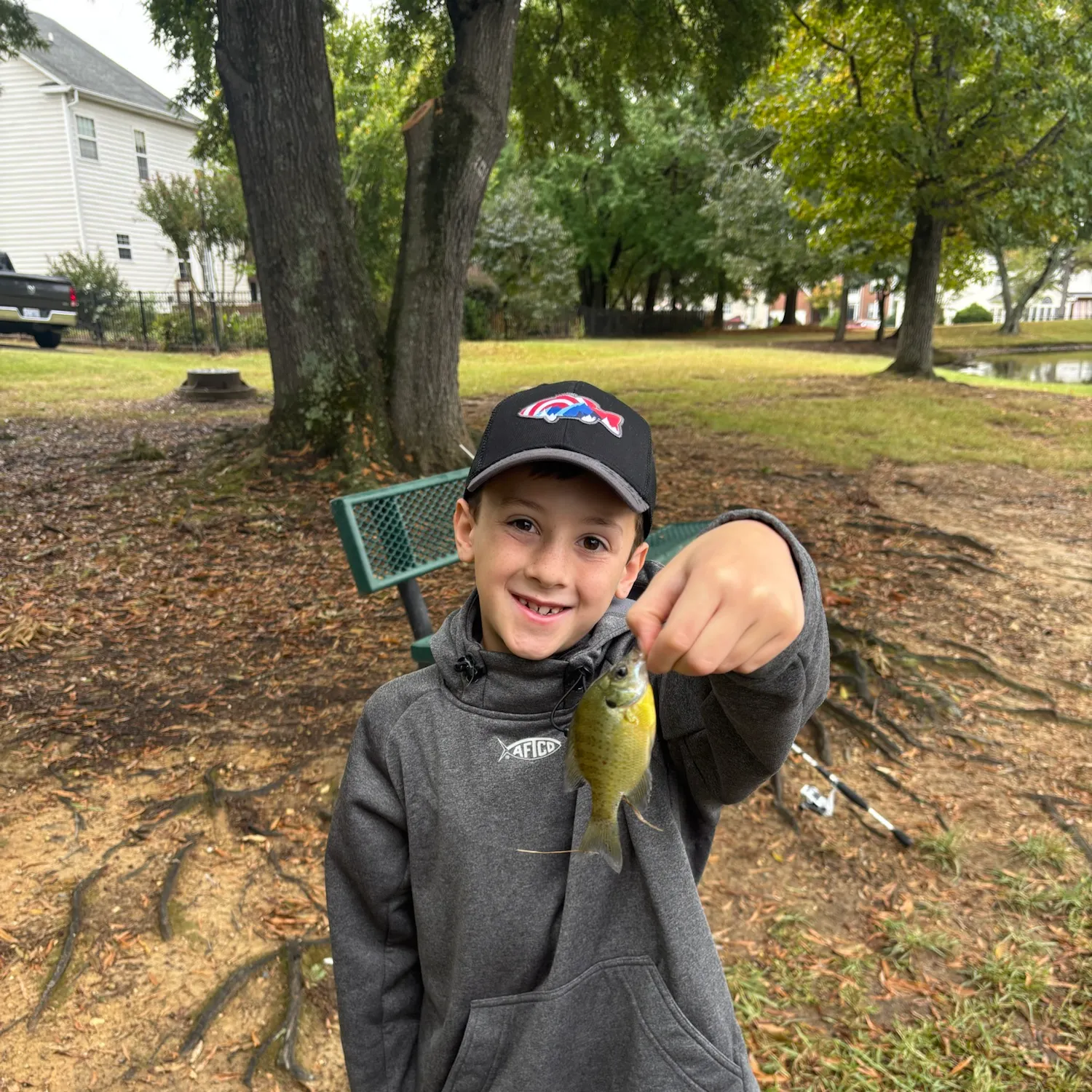 Bluegill caught on Fishbrain