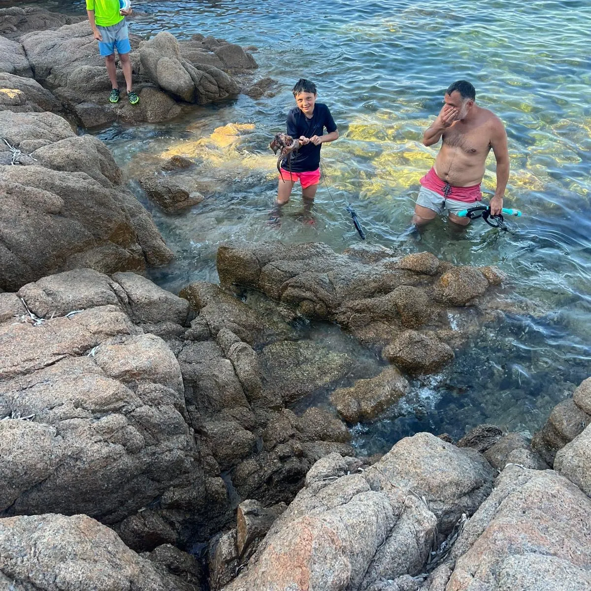 The most recent Common octopus catches on Fishbrain