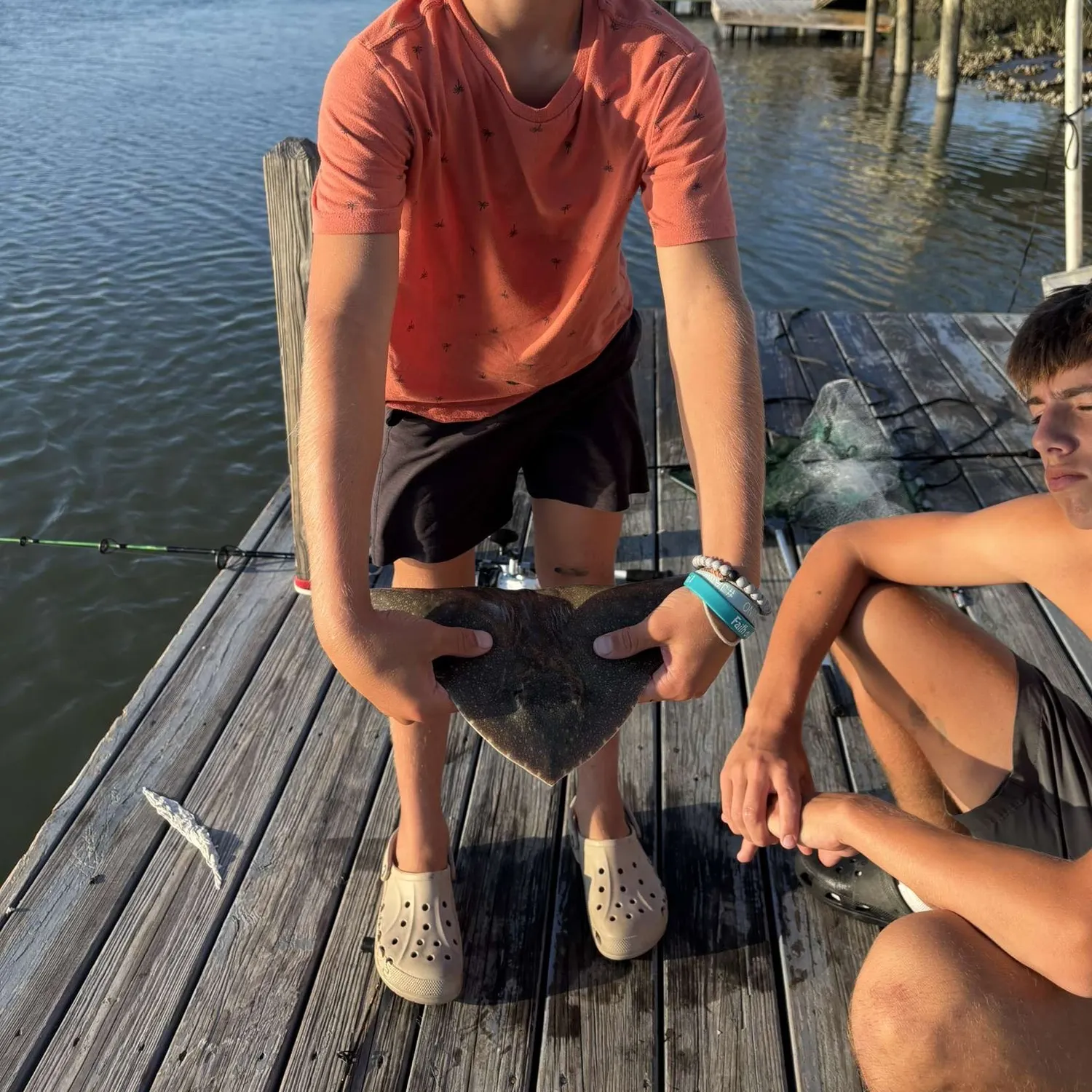 The most recent Backwater butterfly ray catches on Fishbrain