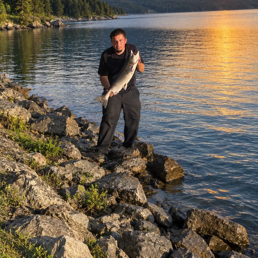 Chinook salmon caught on Fishbrain