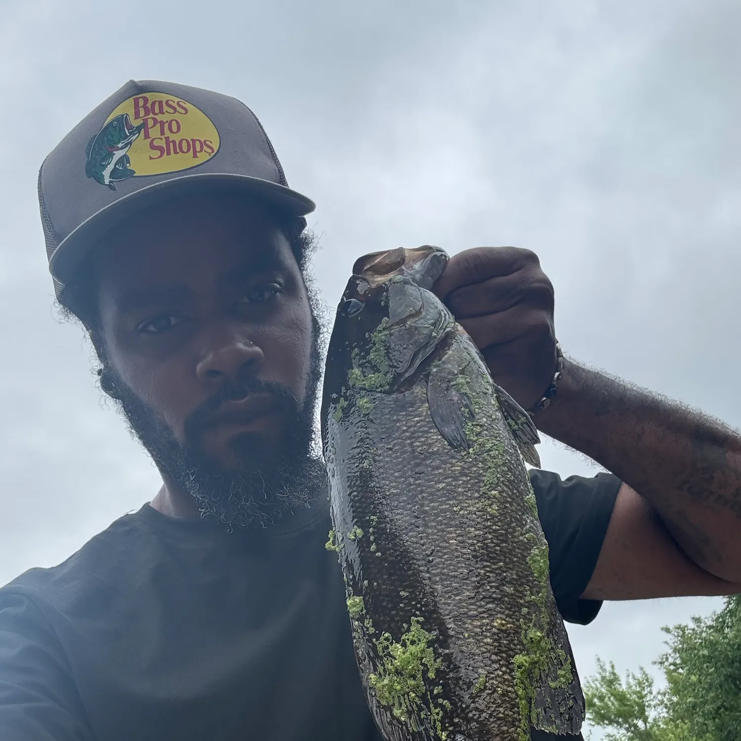 Smallmouth bass caught on Fishbrain