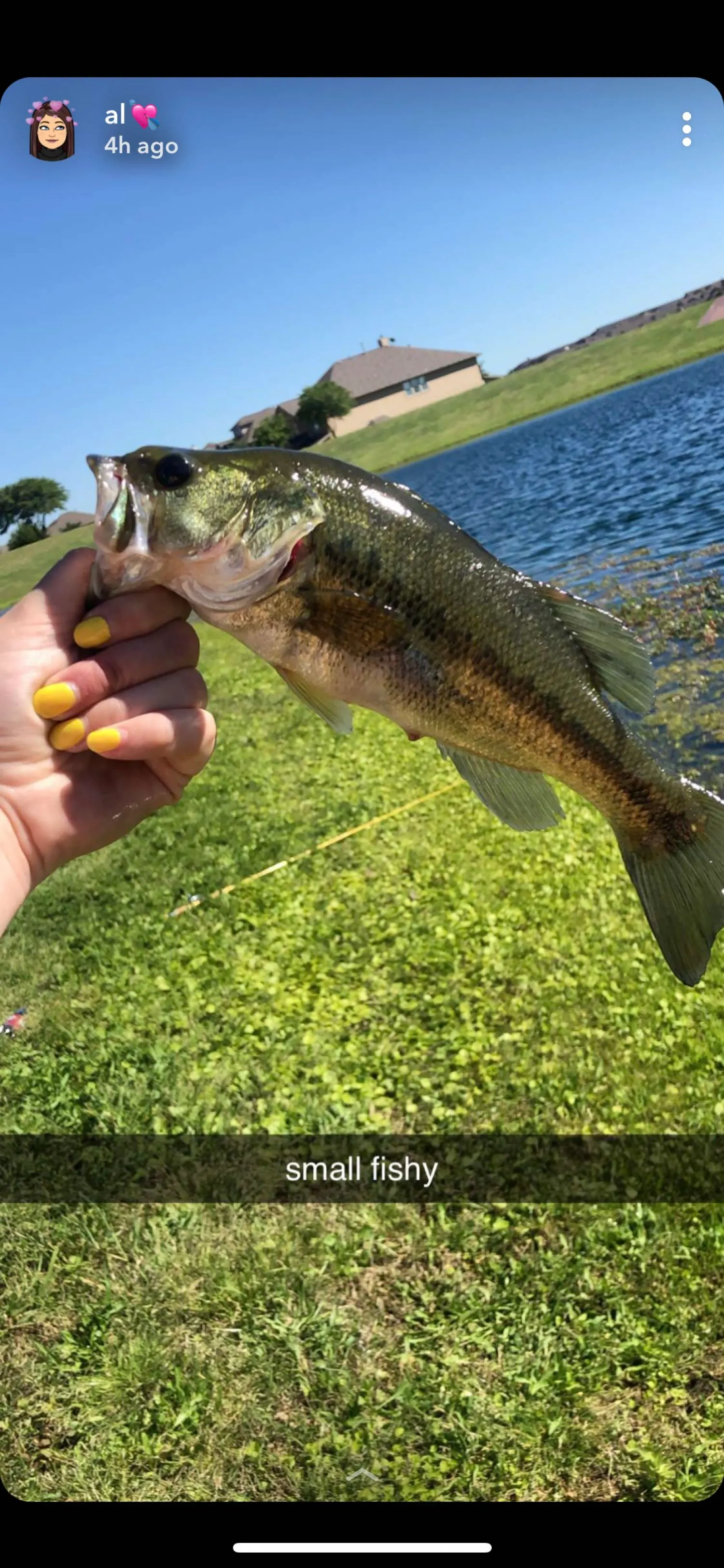 Post image from alycianusbaum