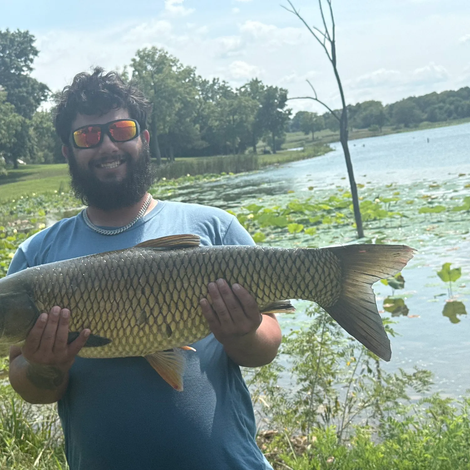 The most recent Grass carp catches on Fishbrain
