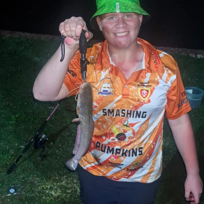 The most recent Blunt-toothed African catfish catches on Fishbrain