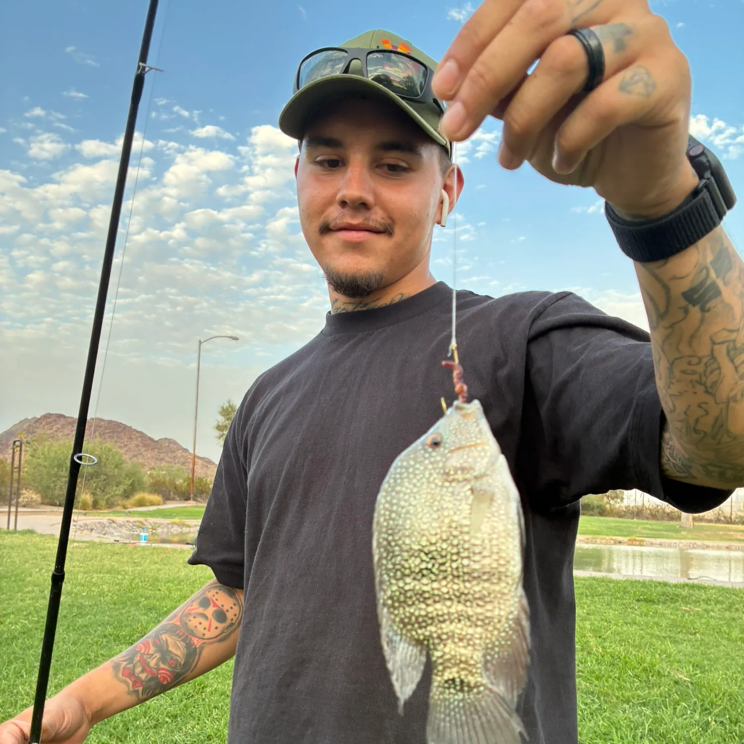 Rio Grande cichlid caught on Fishbrain