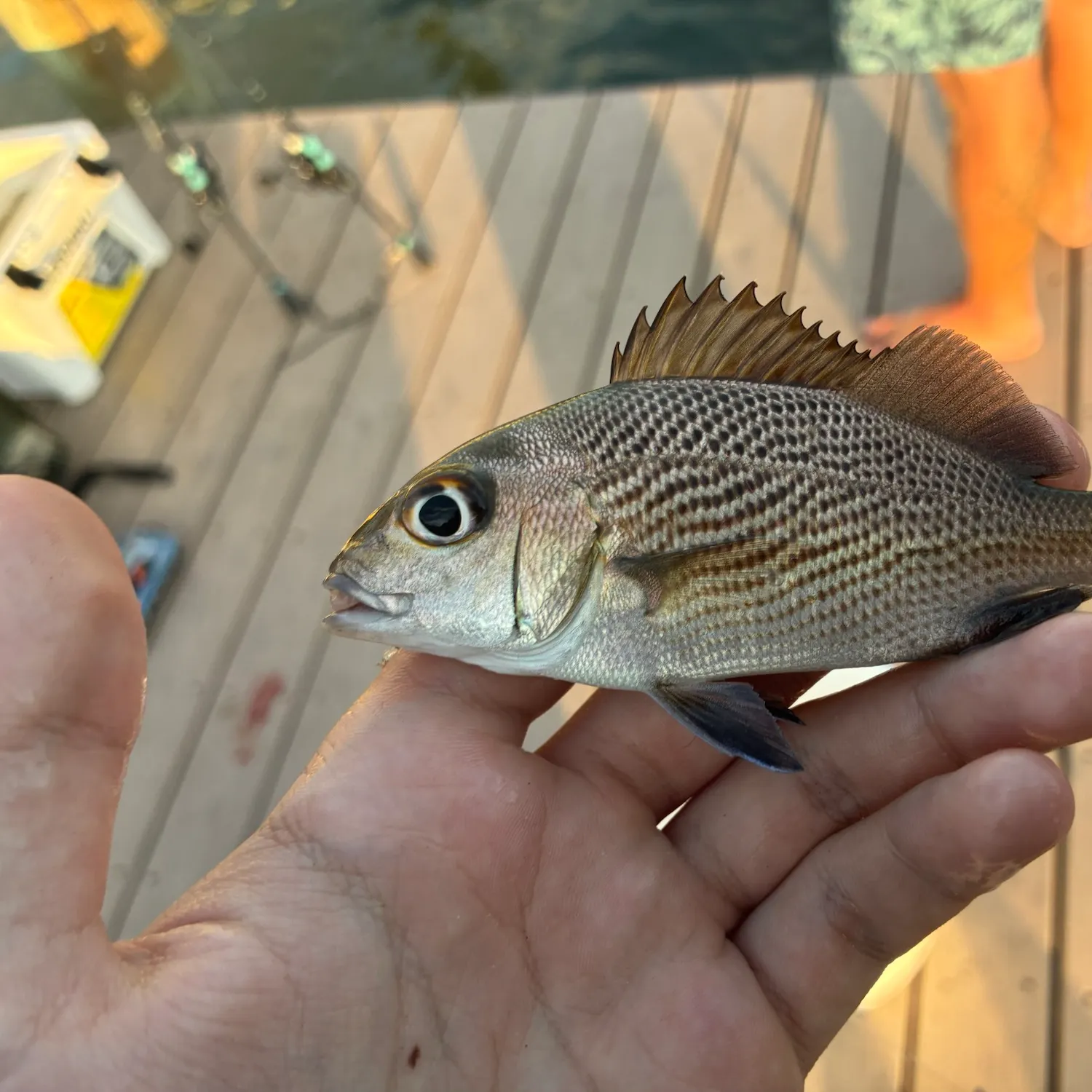 catch