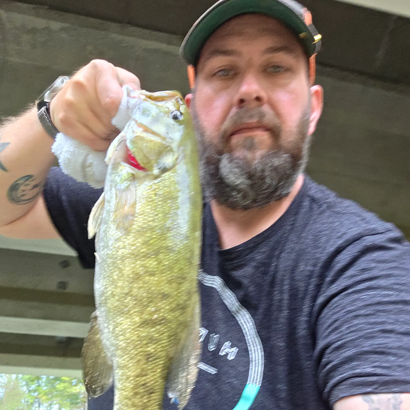 Smallmouth bass caught on Fishbrain