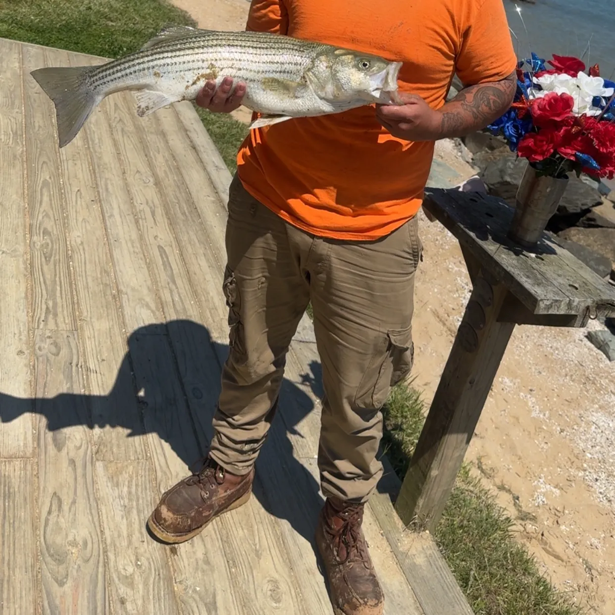 recently logged catches