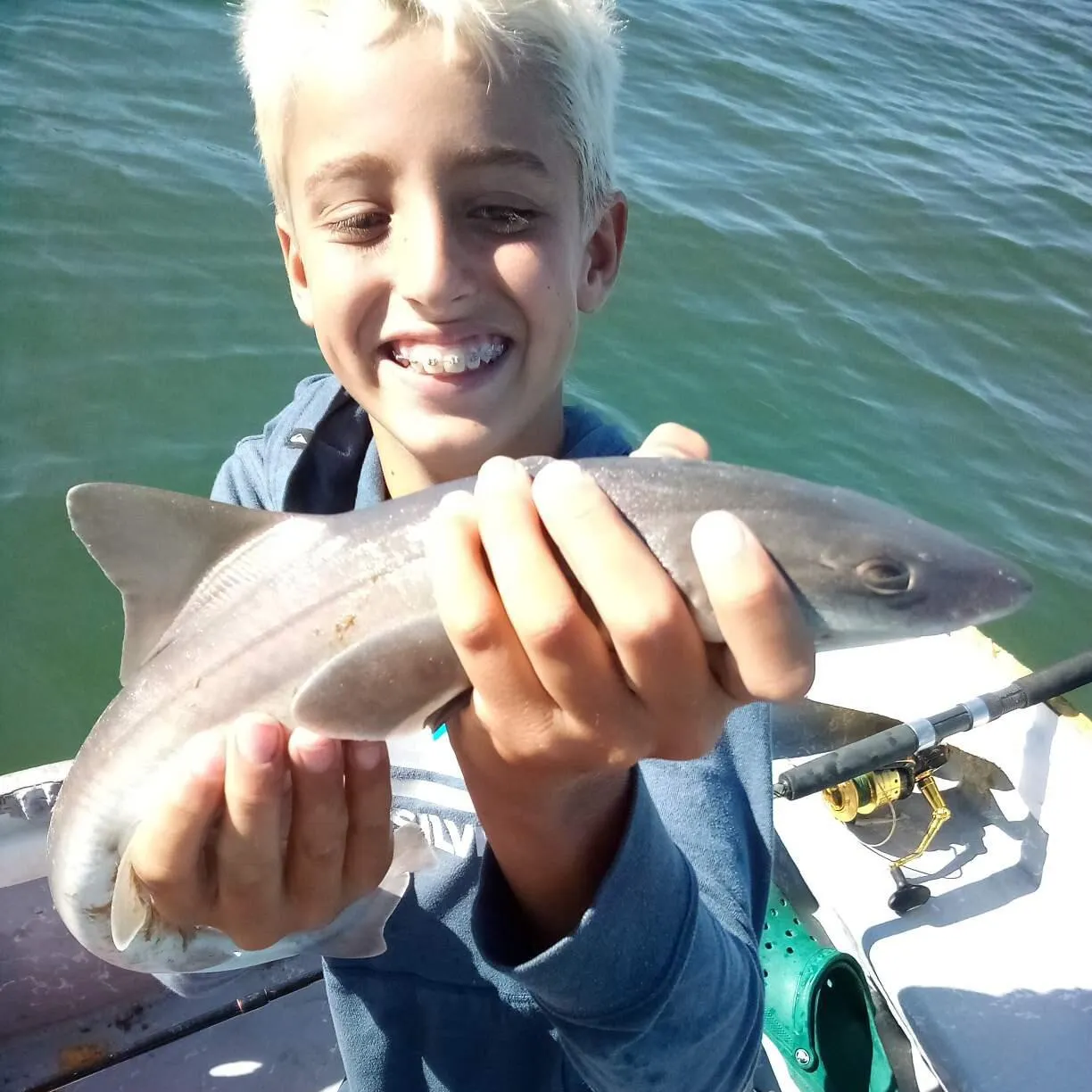 The most recent Grey smooth-hound catches on Fishbrain