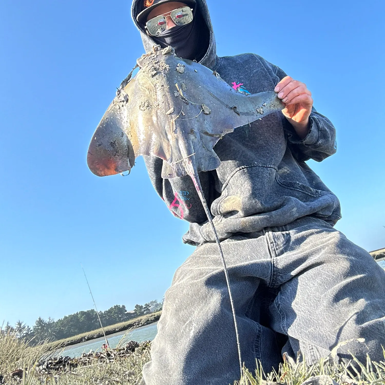 The most recent Bat eagle ray catches on Fishbrain
