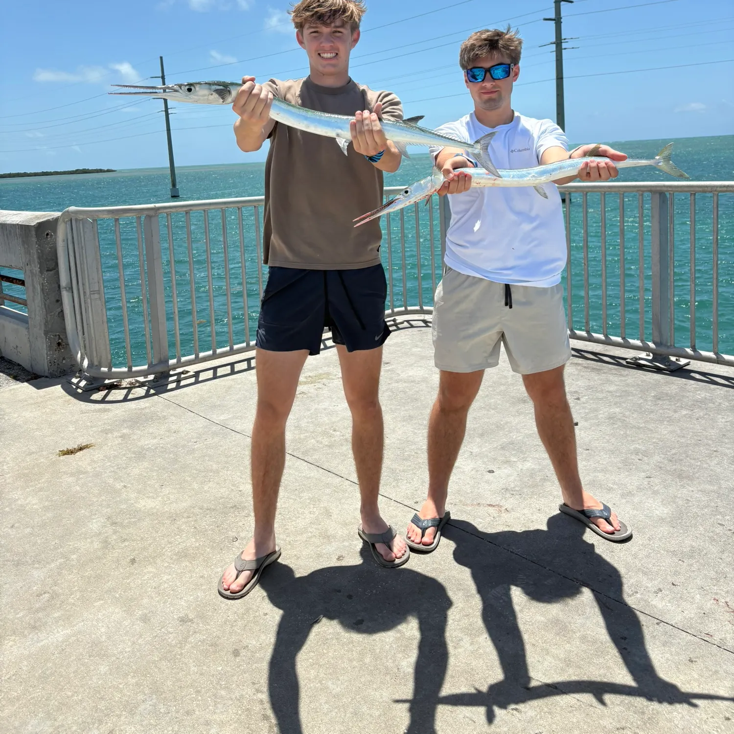 The most recent Hound needlefish catches on Fishbrain