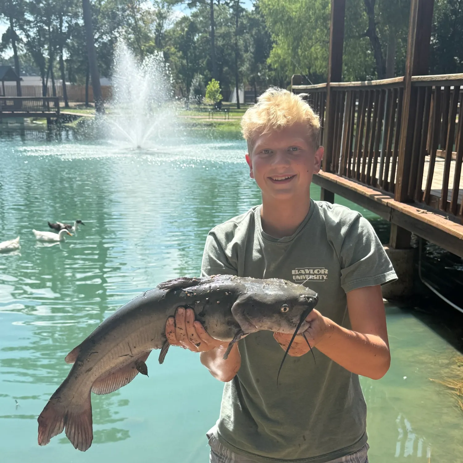 Channel catfish caught on Fishbrain