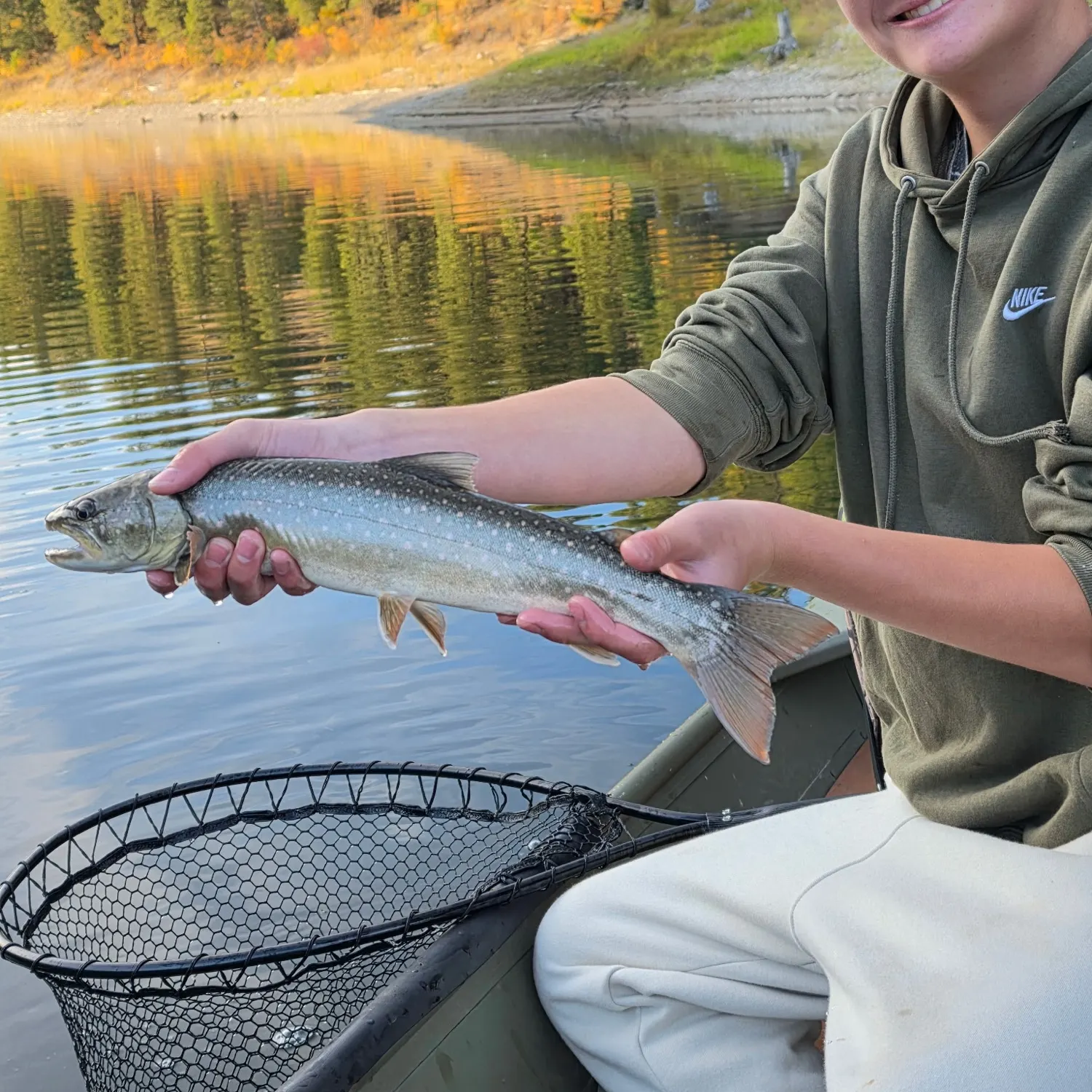 Bull trout caught on Fishbrain