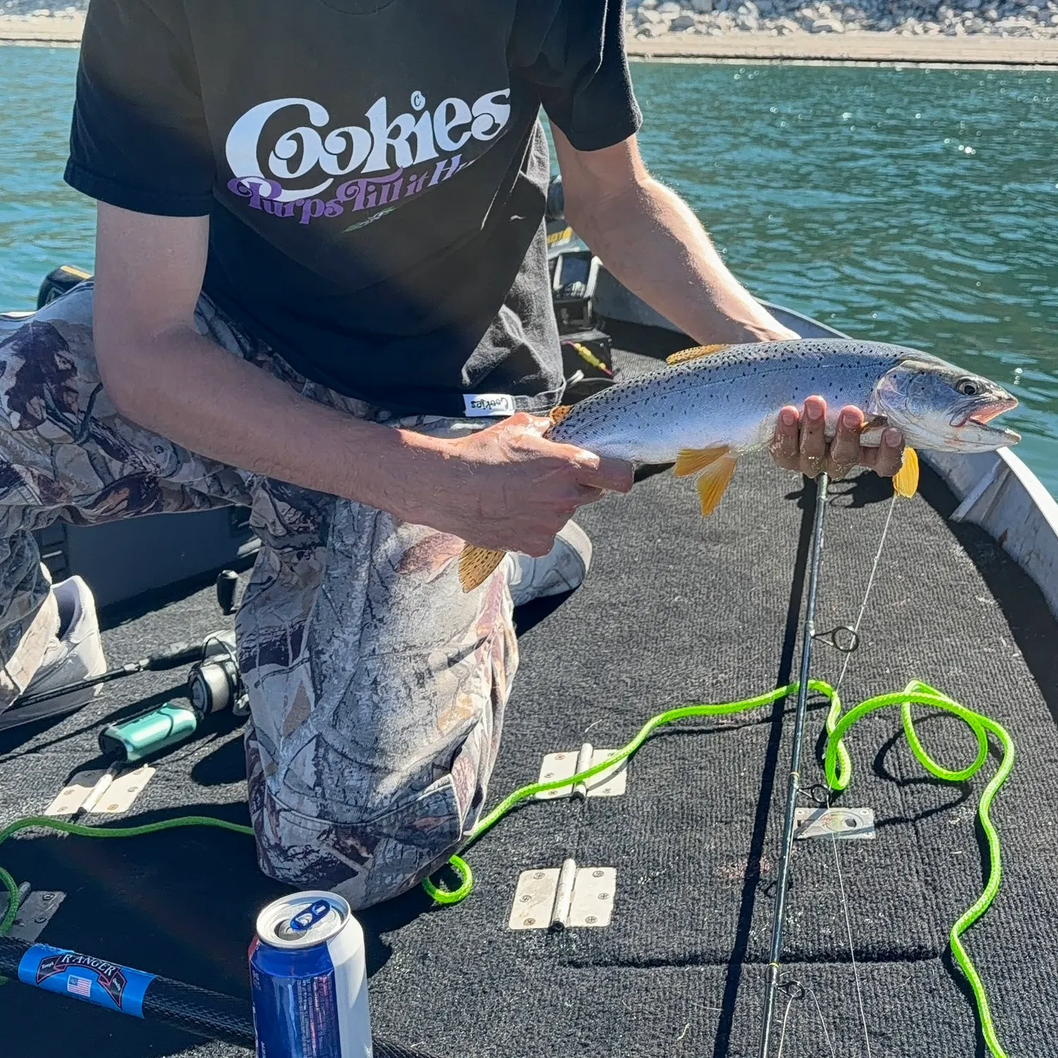The most recent Bear Lake cutthroat trout catches on Fishbrain