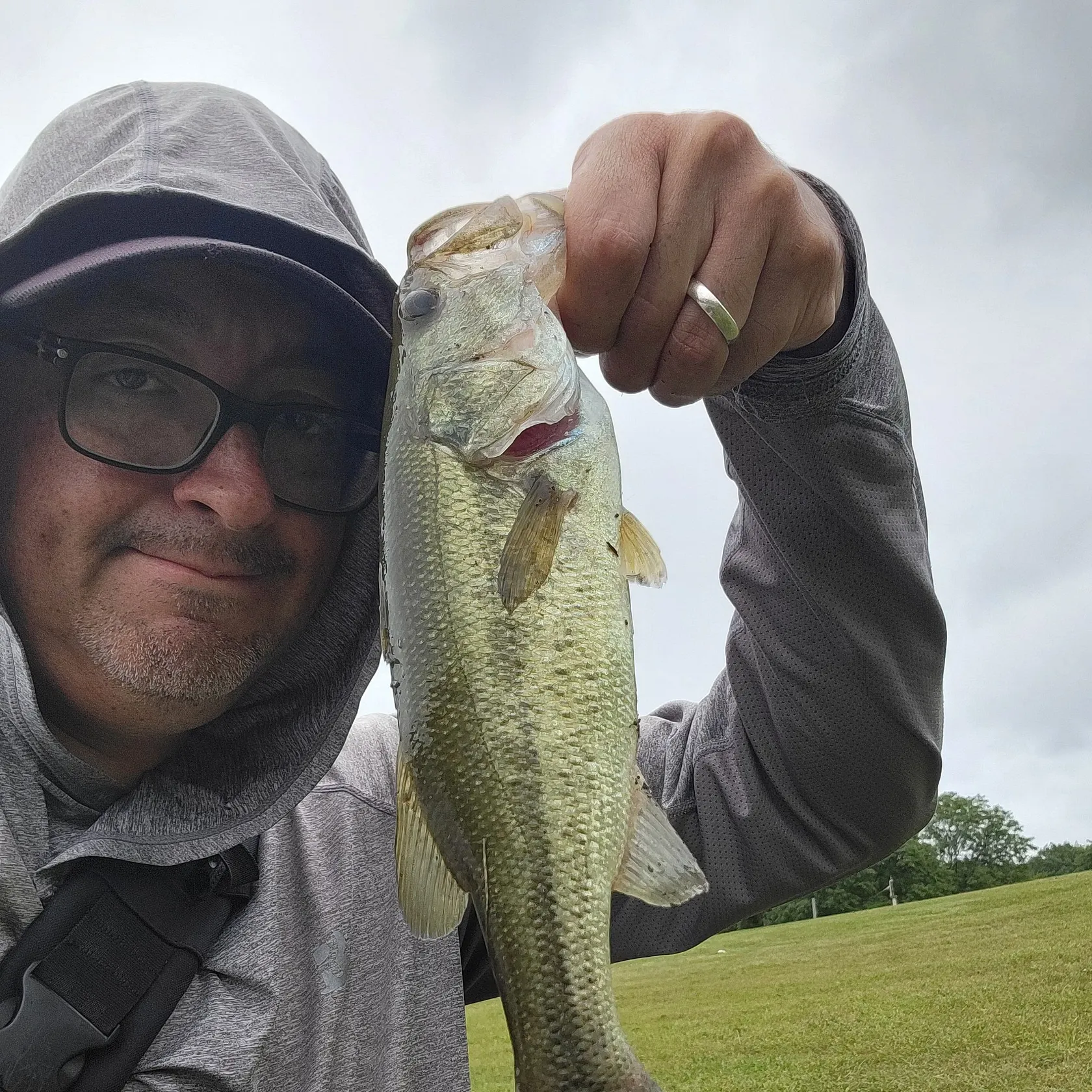 Largemouth bass caught on Fishbrain