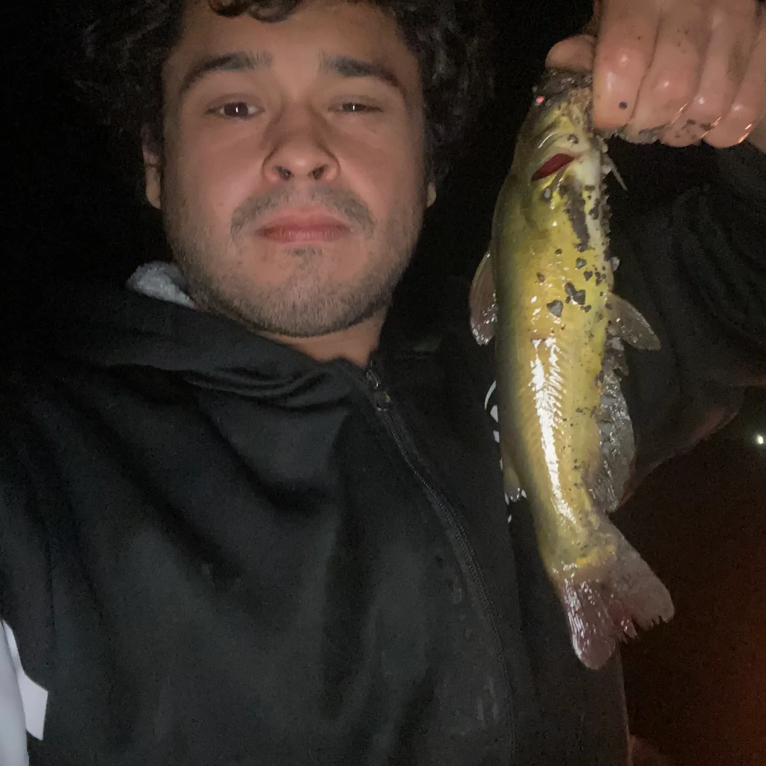 Channel catfish caught on Fishbrain