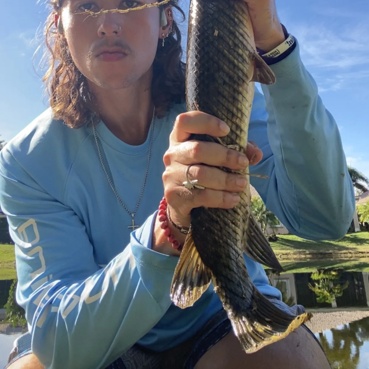 The most recent Spotted gar catches on Fishbrain