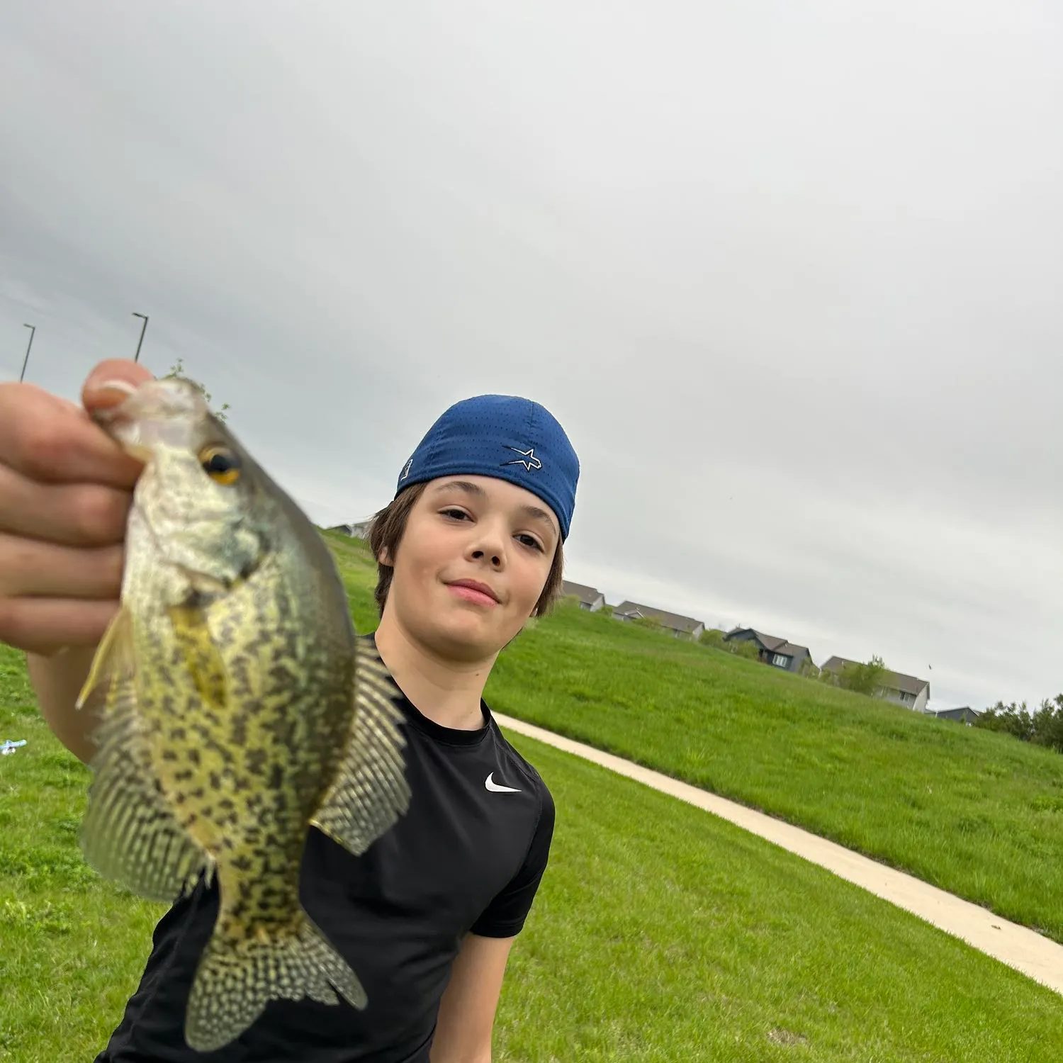 Black crappie caught on Fishbrain