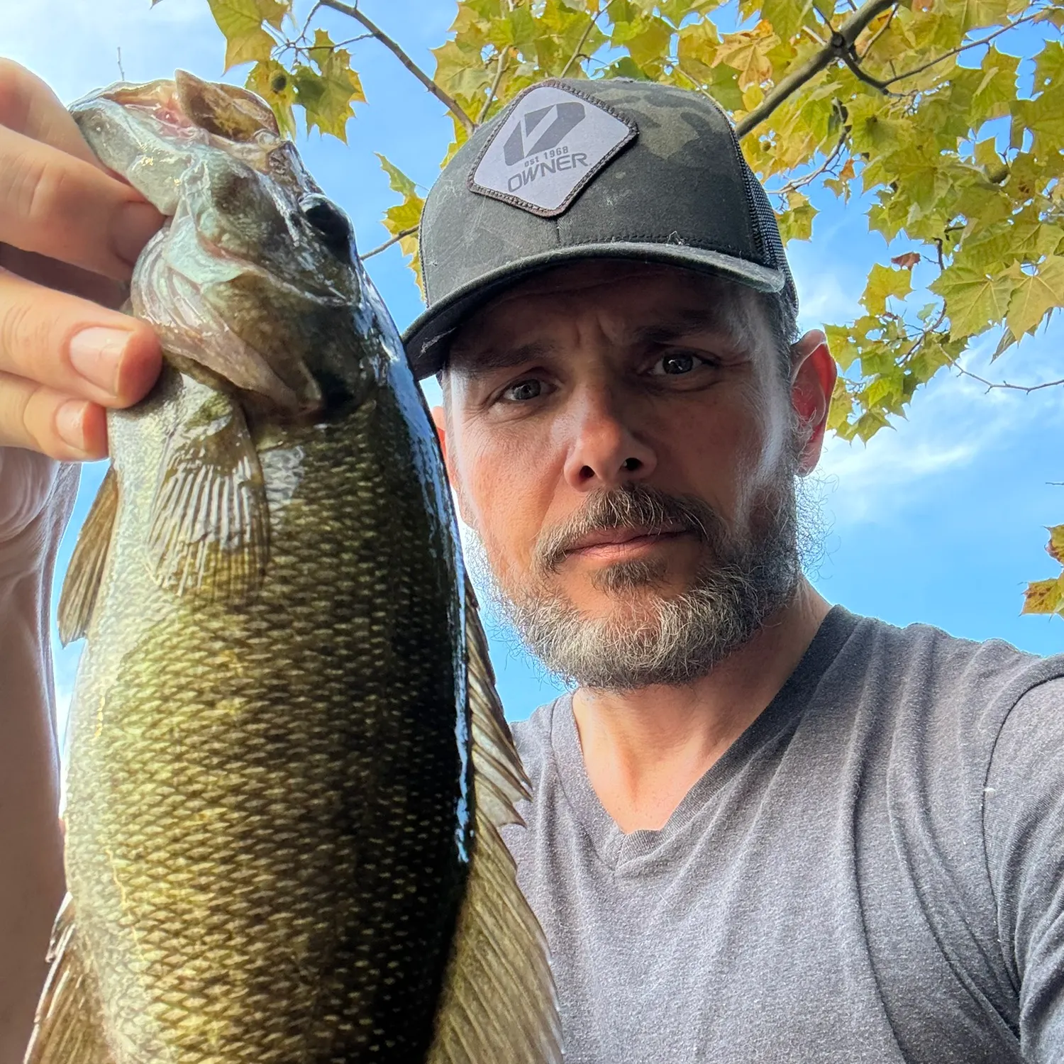 Smallmouth bass caught on Fishbrain