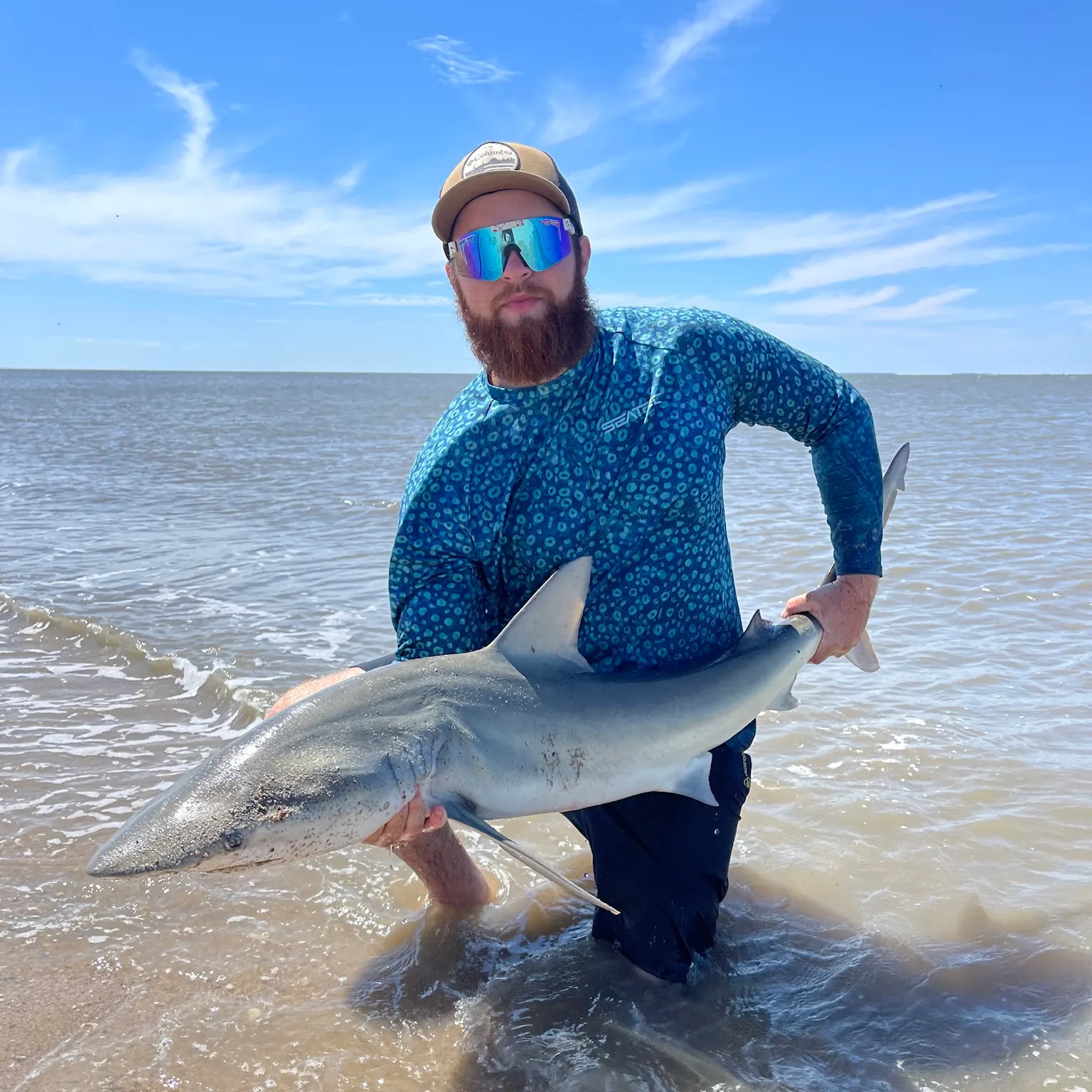 The most recent Finetooth shark catches on Fishbrain