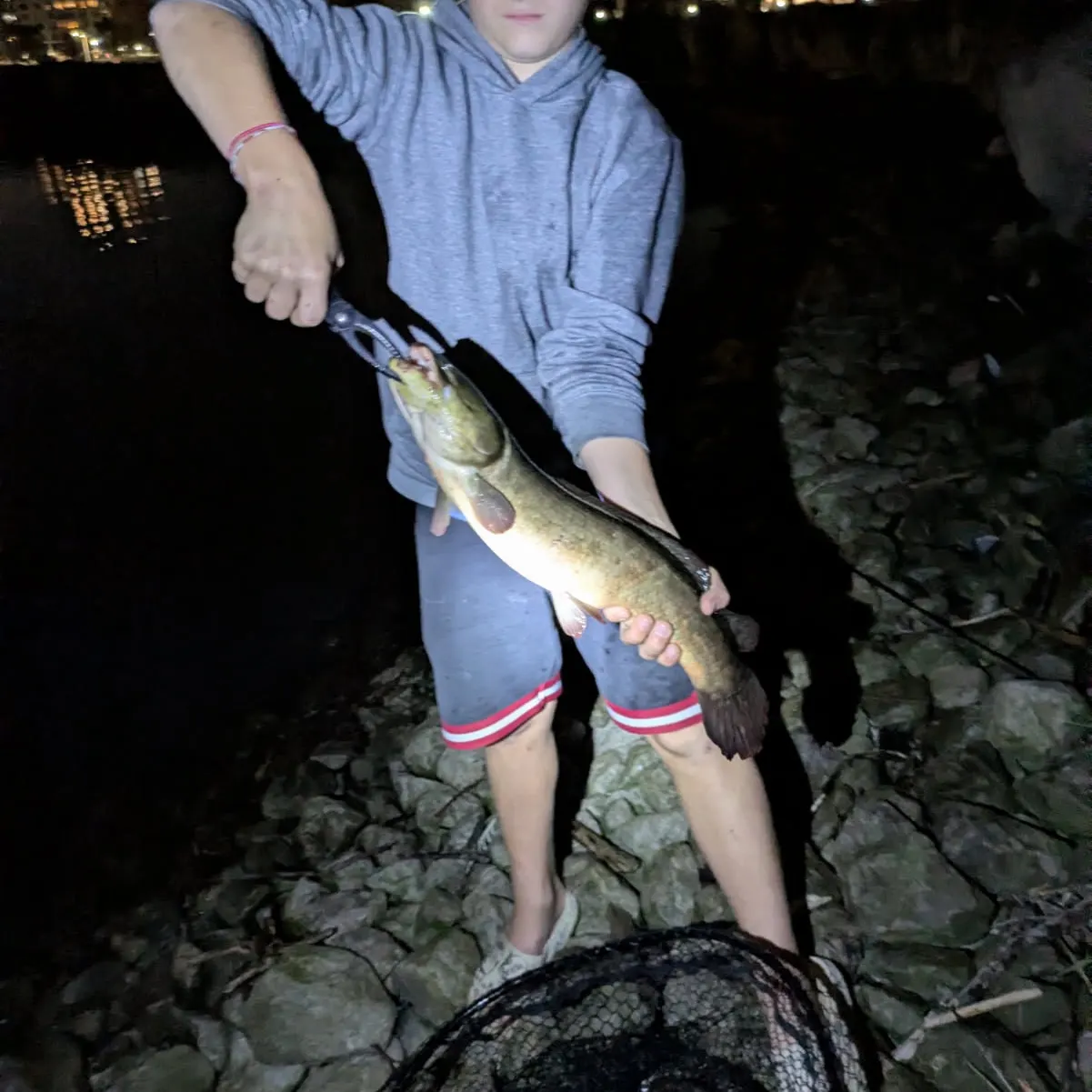 The most recent Eyetail bowfin catches on Fishbrain
