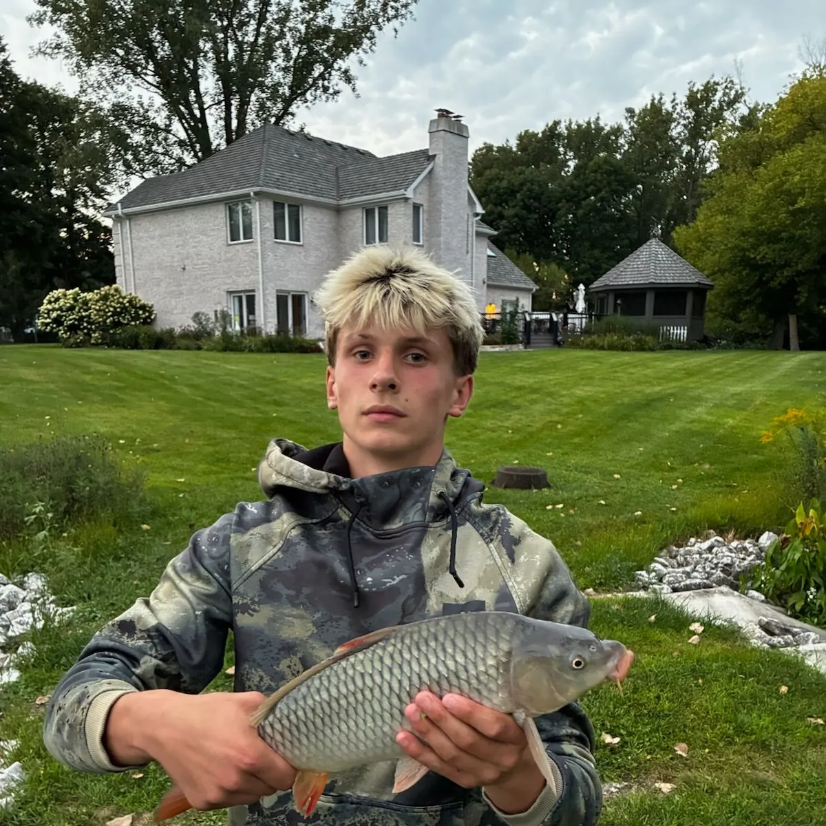 Common carp caught on Fishbrain