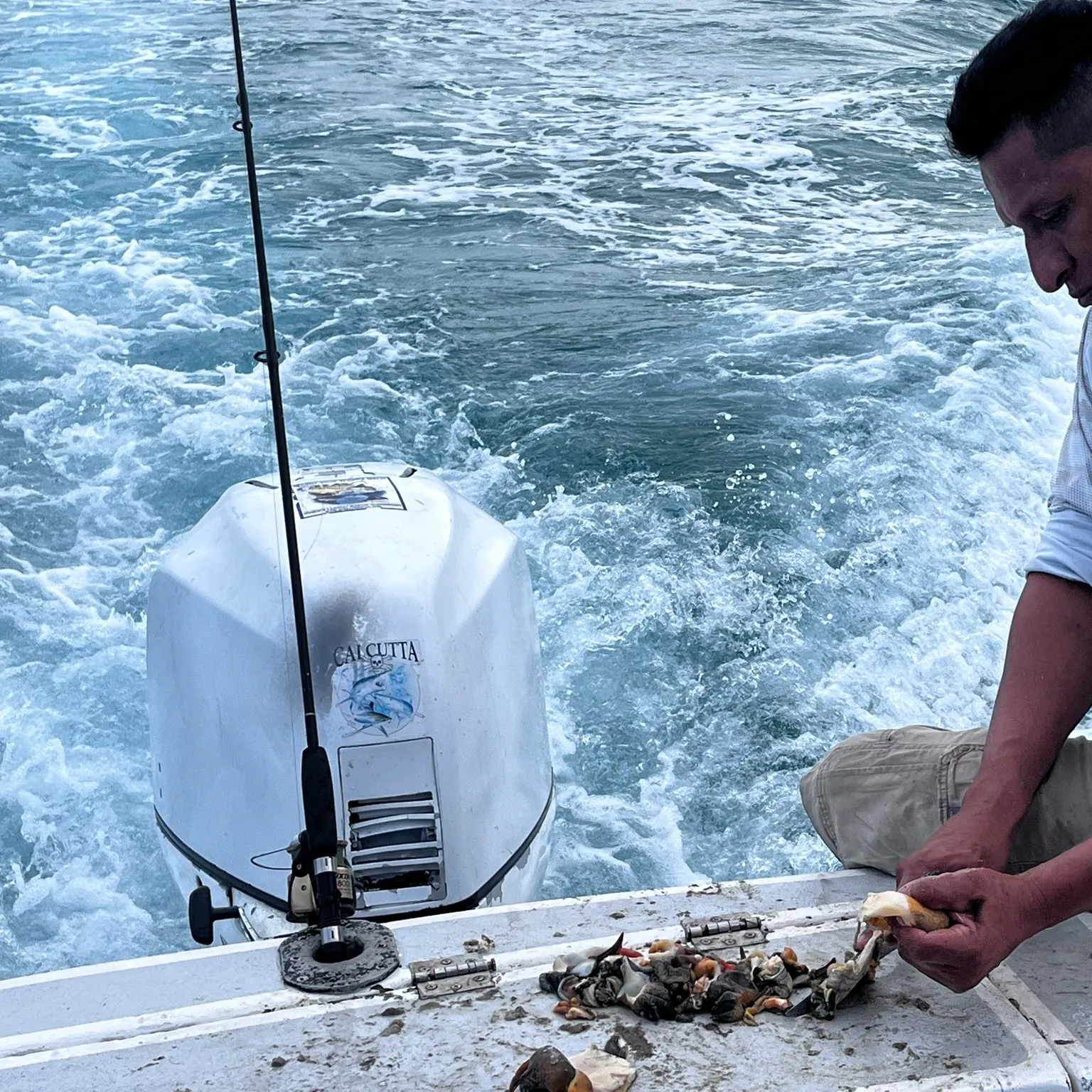 The most recent Yellowtail snapper catches on Fishbrain