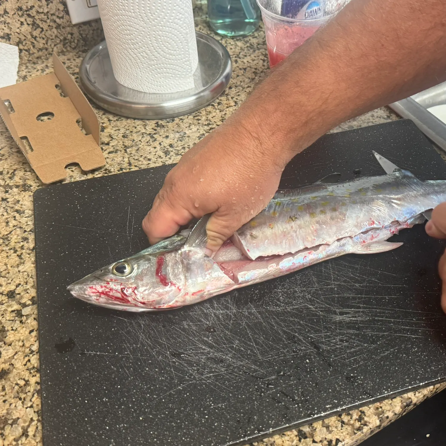 Spanish mackerel caught on Fishbrain