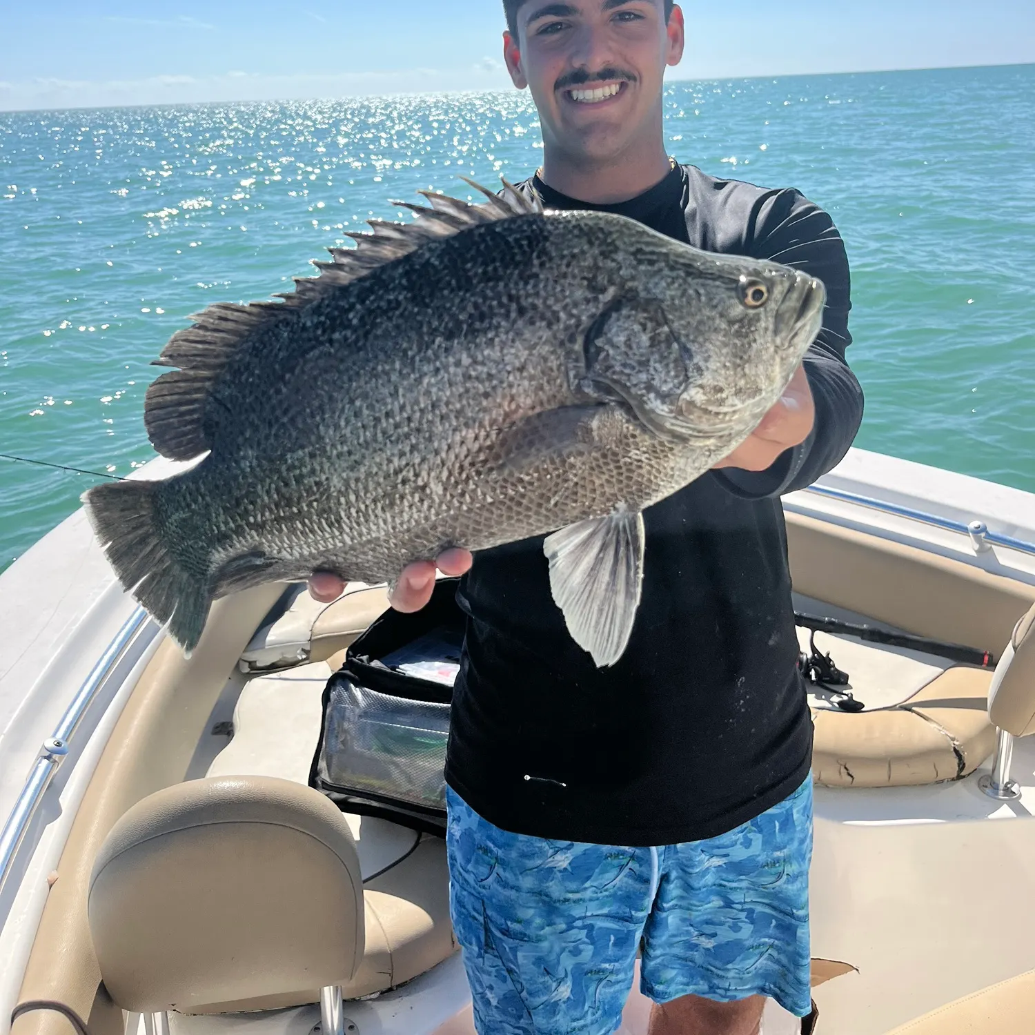 The most recent Atlantic tripletail catches on Fishbrain