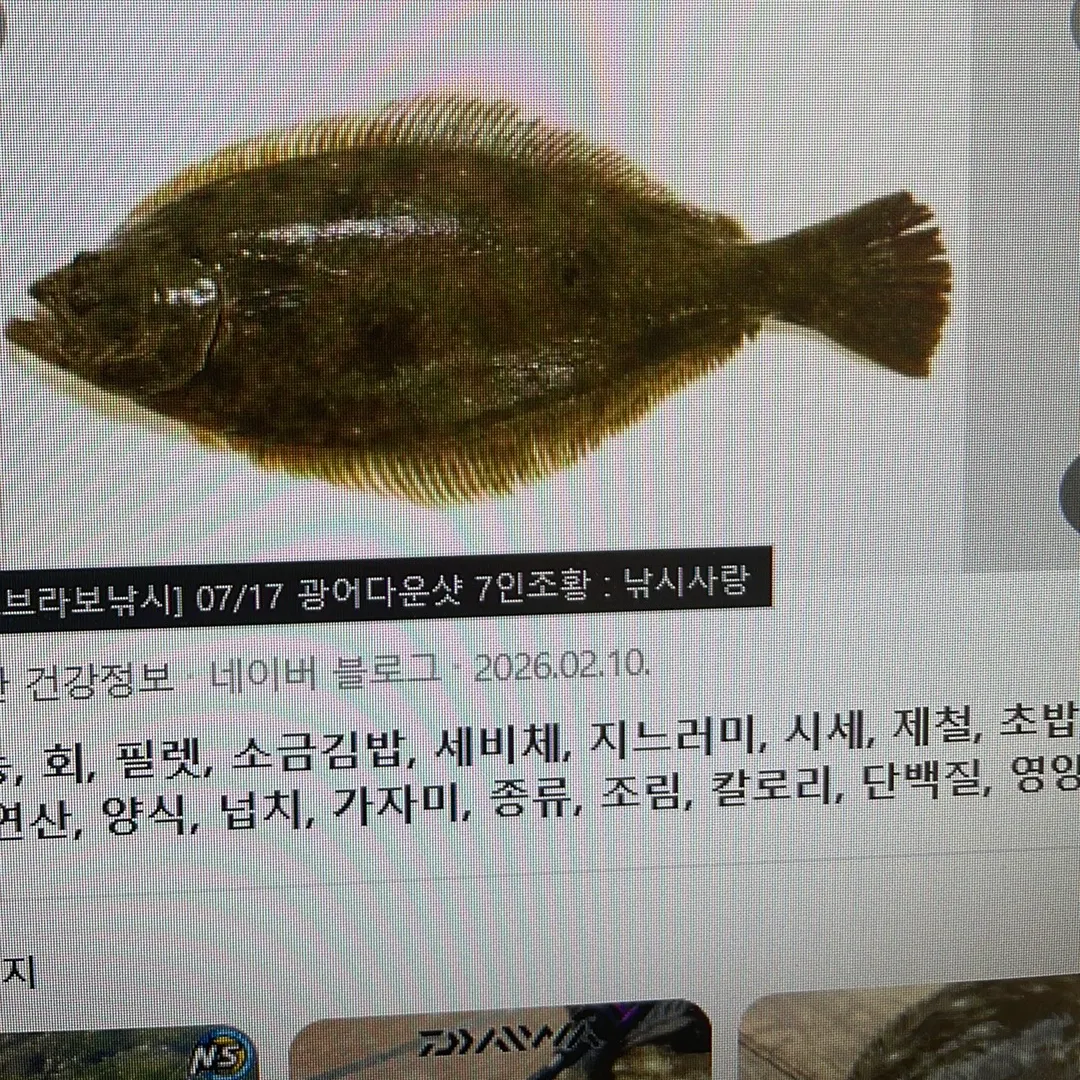 recently logged catches